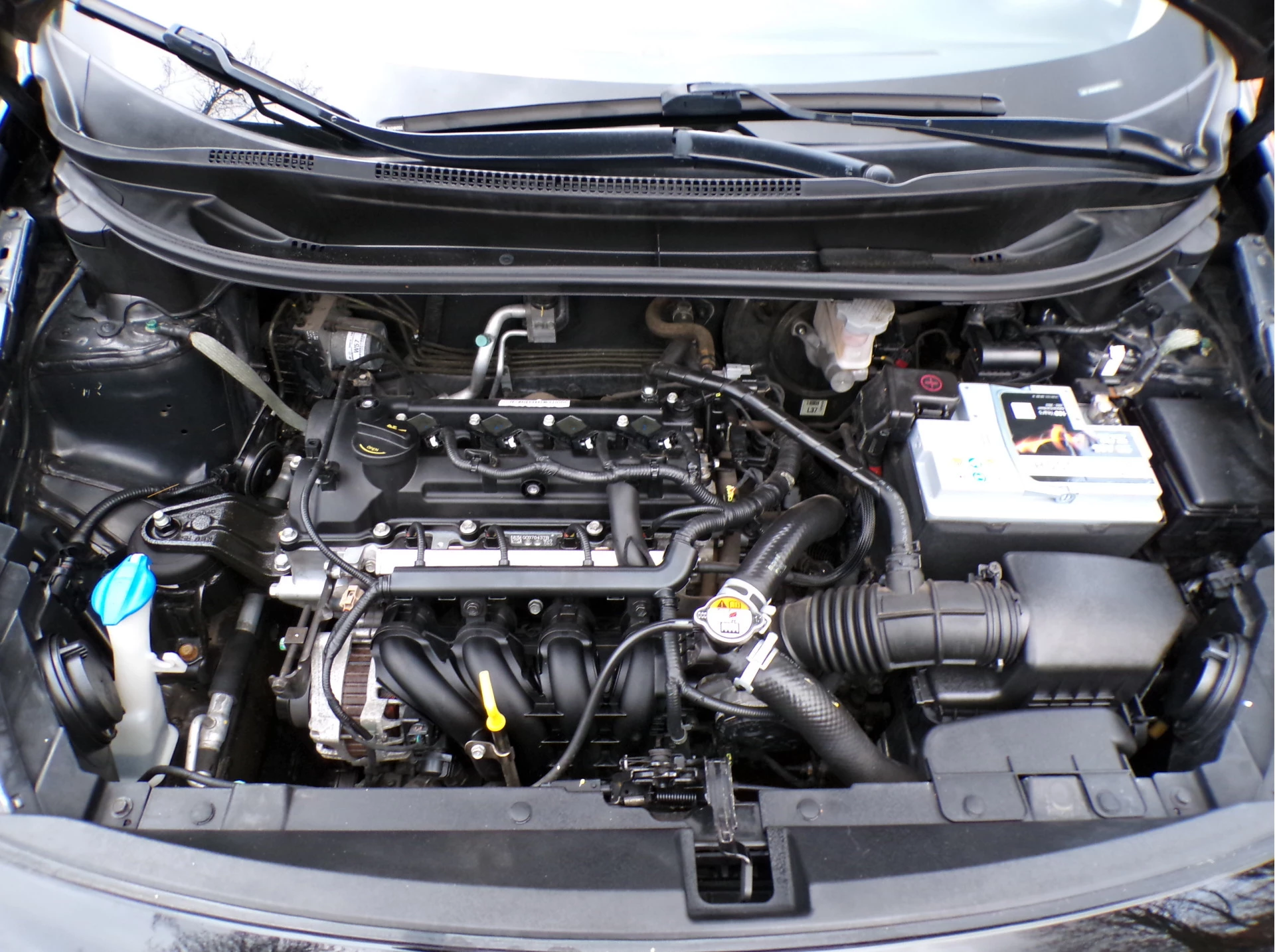 Hoofdafbeelding Kia Rio