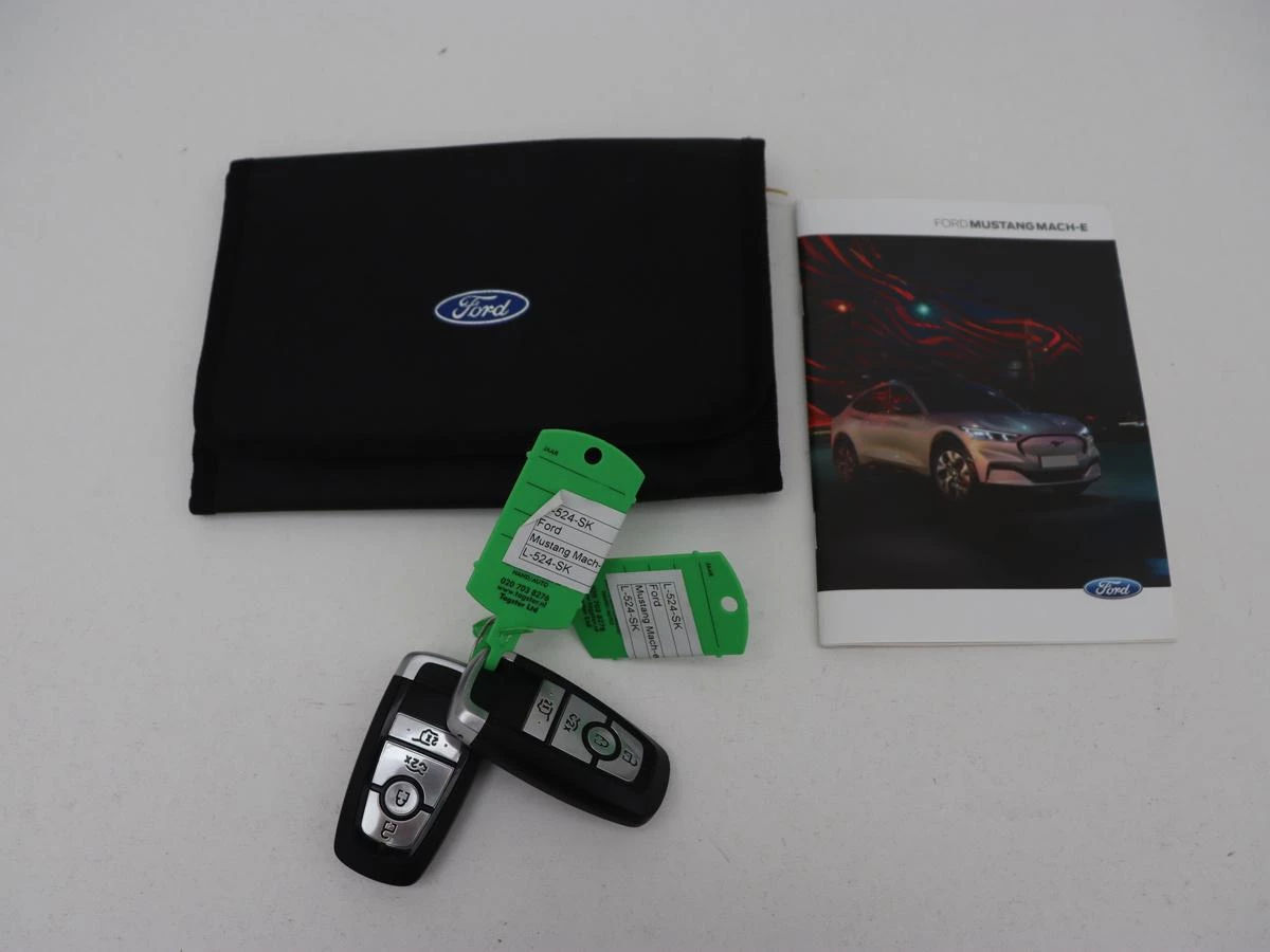 Hoofdafbeelding Ford Mustang Mach-E