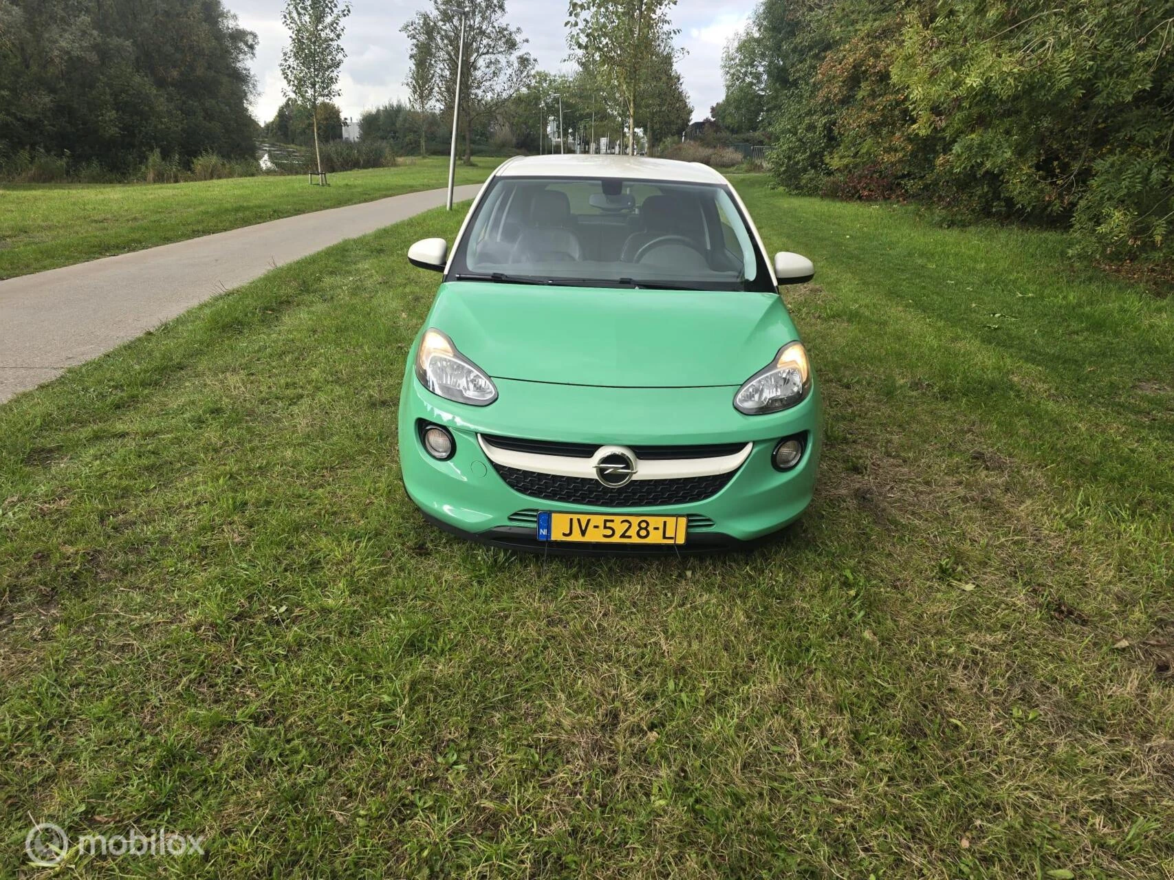 Hoofdafbeelding Opel ADAM