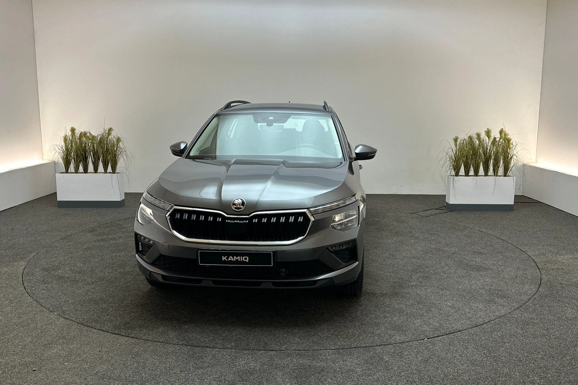 Hoofdafbeelding Škoda Kamiq