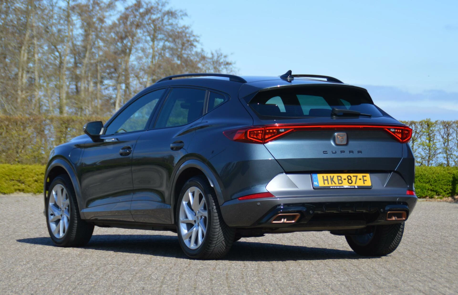 Hoofdafbeelding CUPRA Formentor