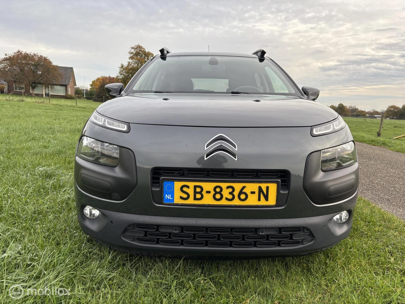 Hoofdafbeelding Citroën C4 Cactus