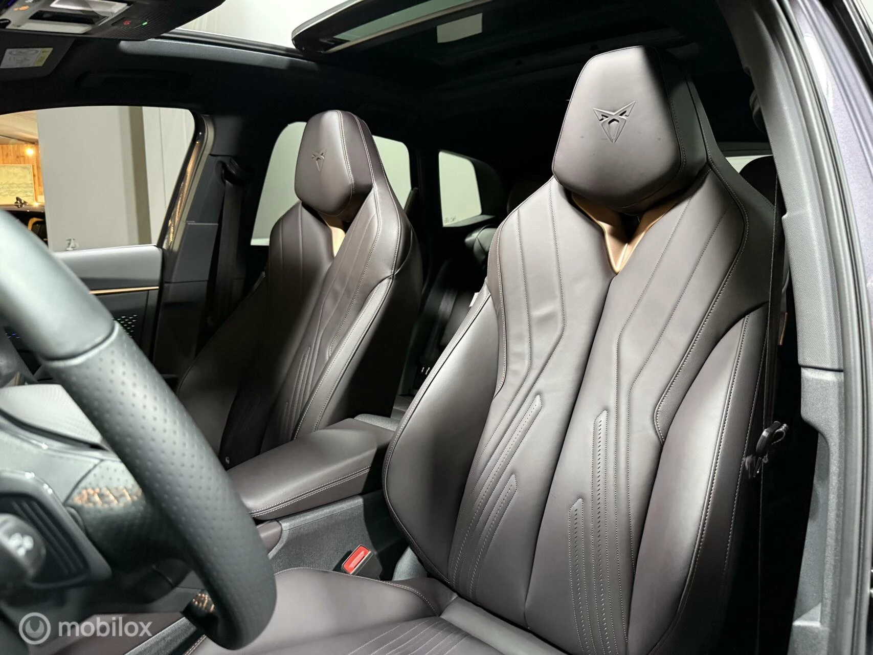 Hoofdafbeelding CUPRA Terramar