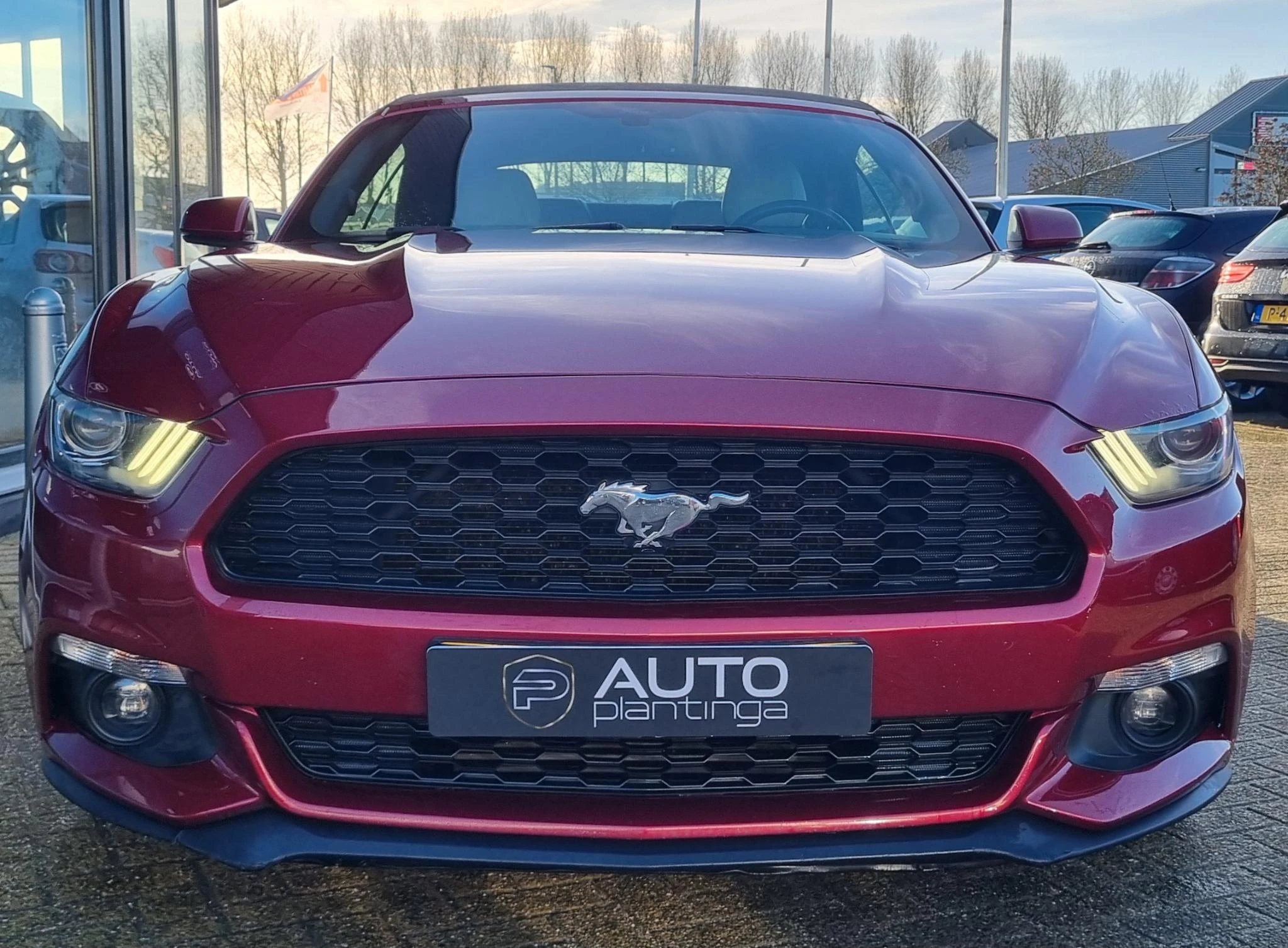 Hoofdafbeelding Ford Mustang