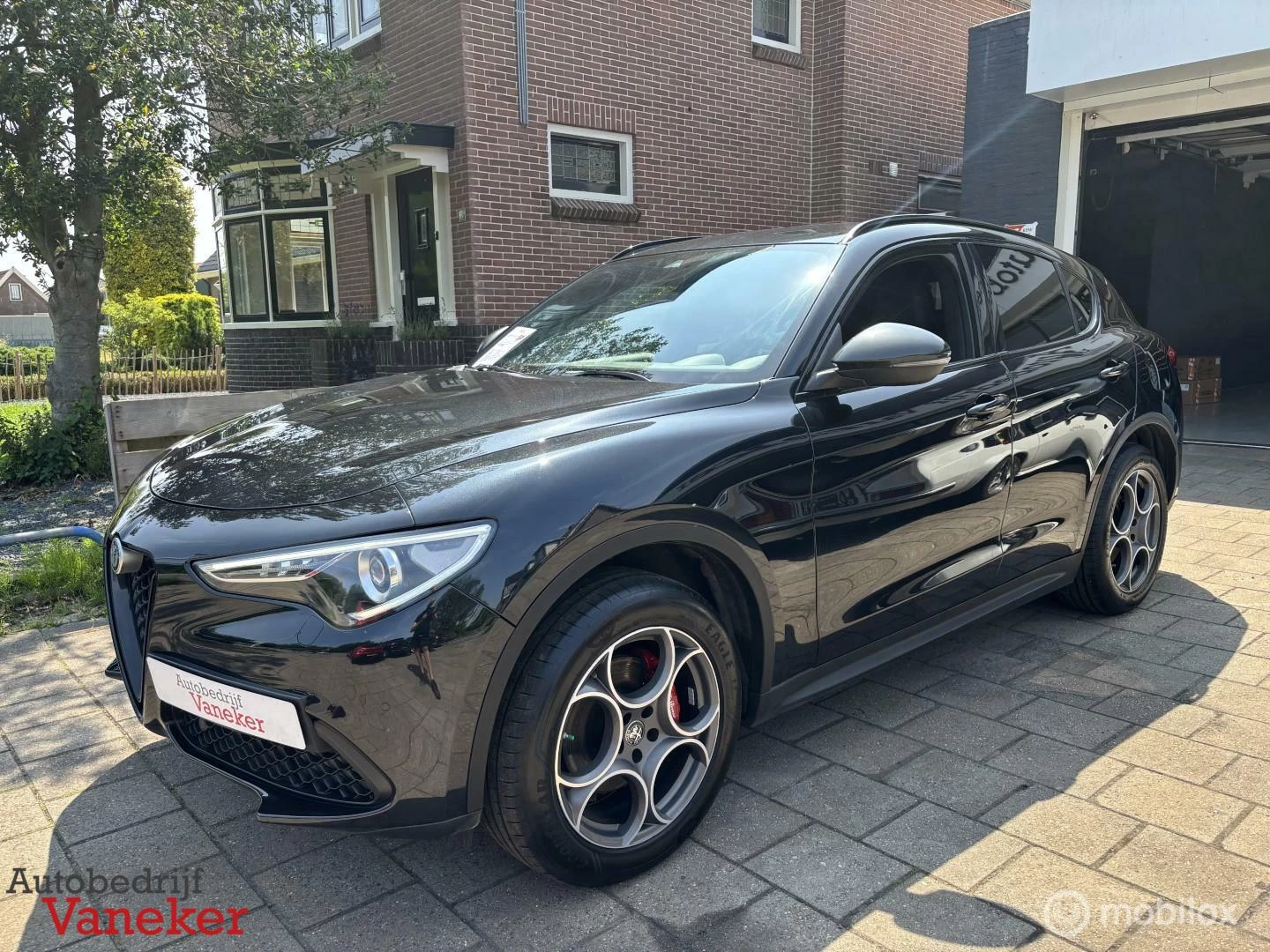 Hoofdafbeelding Alfa Romeo Stelvio