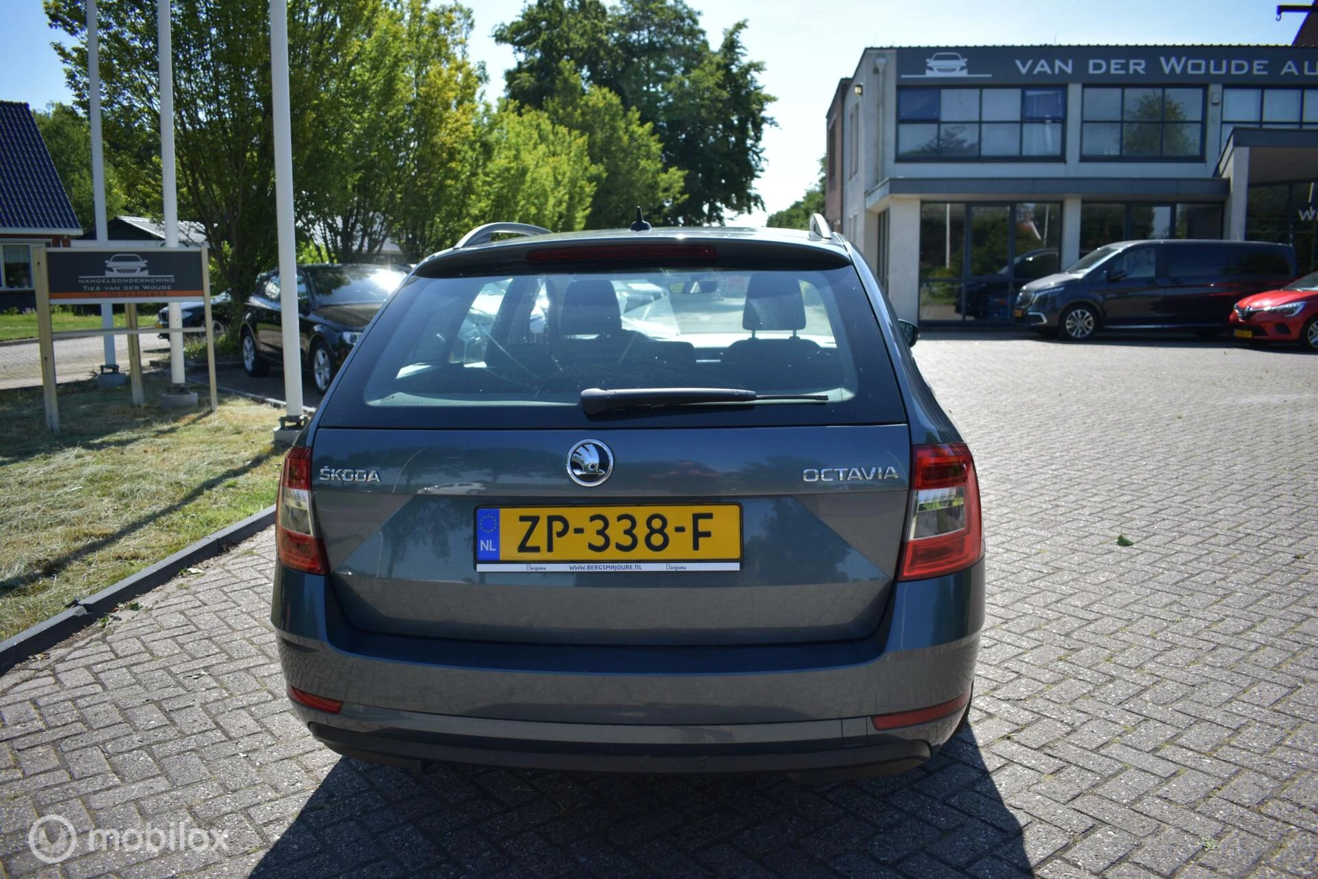 Hoofdafbeelding Škoda Octavia