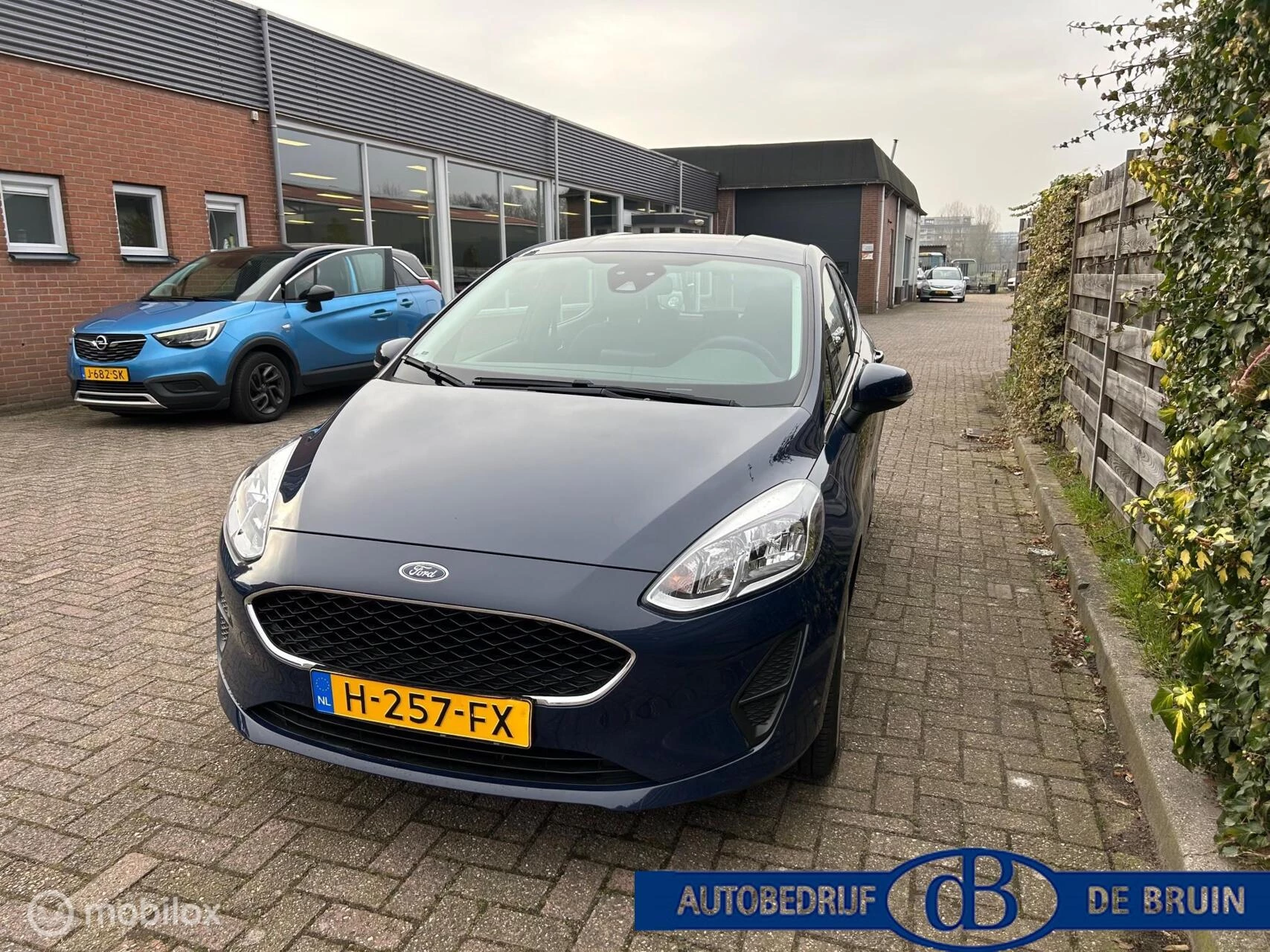 Hoofdafbeelding Ford Fiesta