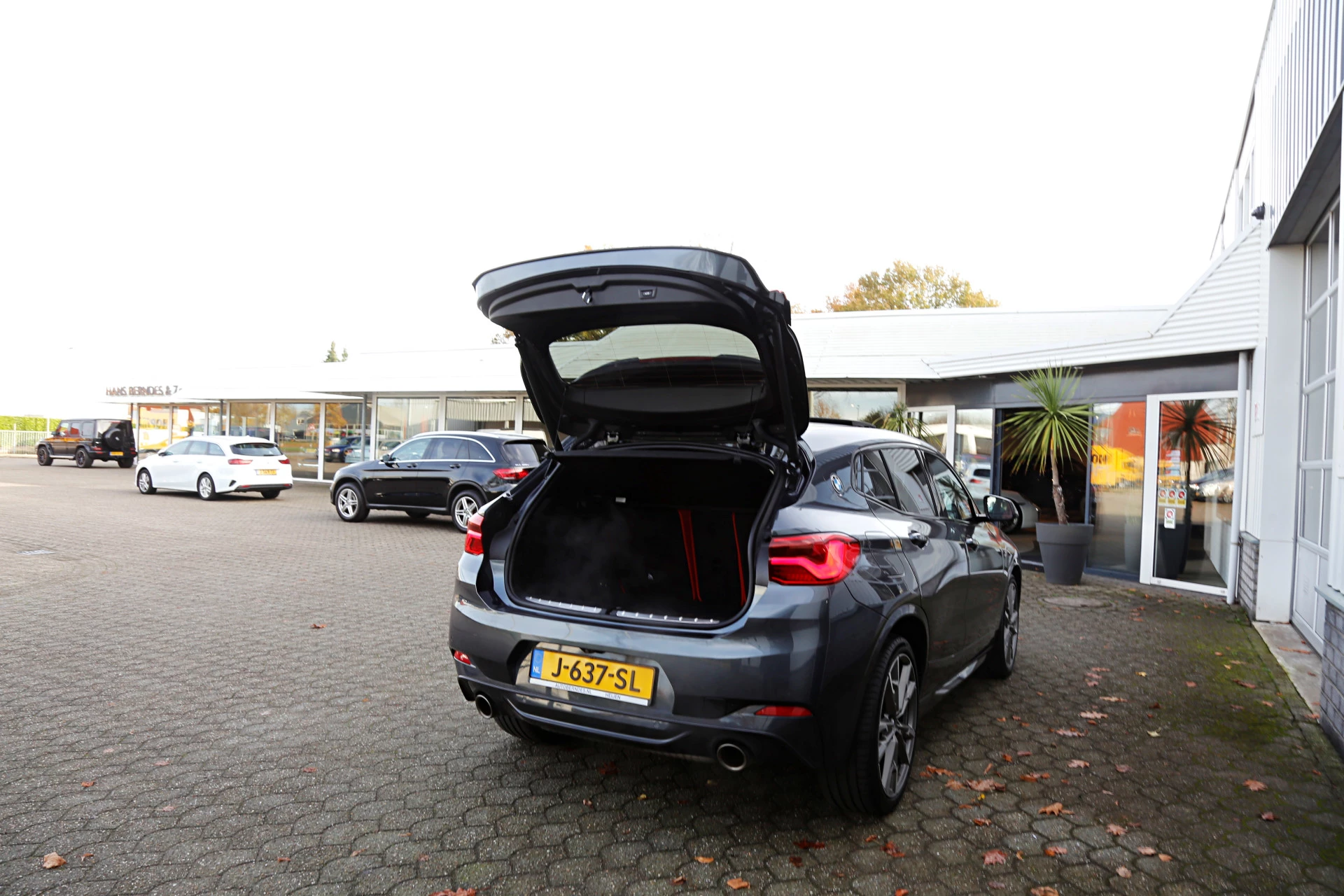 Hoofdafbeelding BMW X2