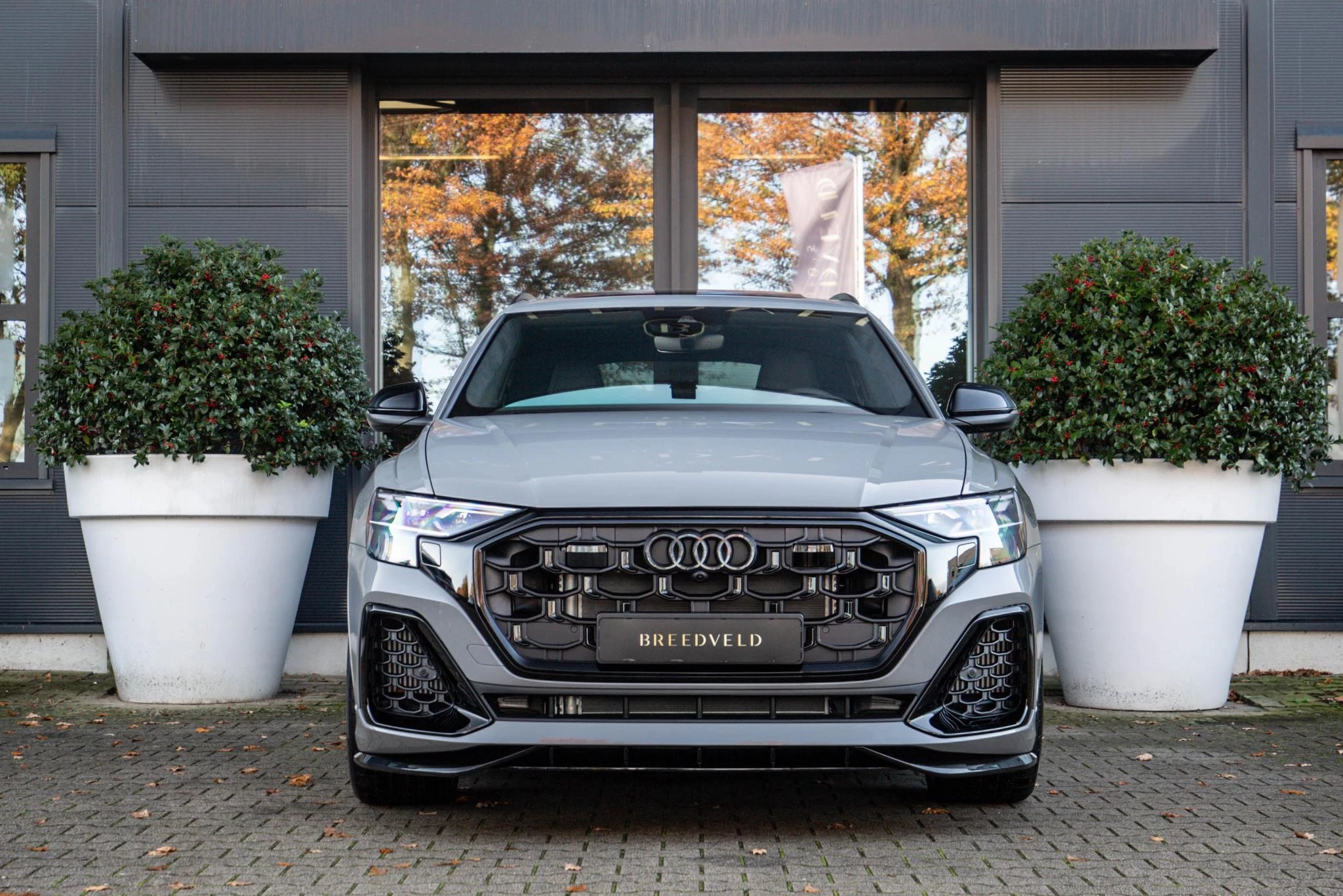 Hoofdafbeelding Audi Q8