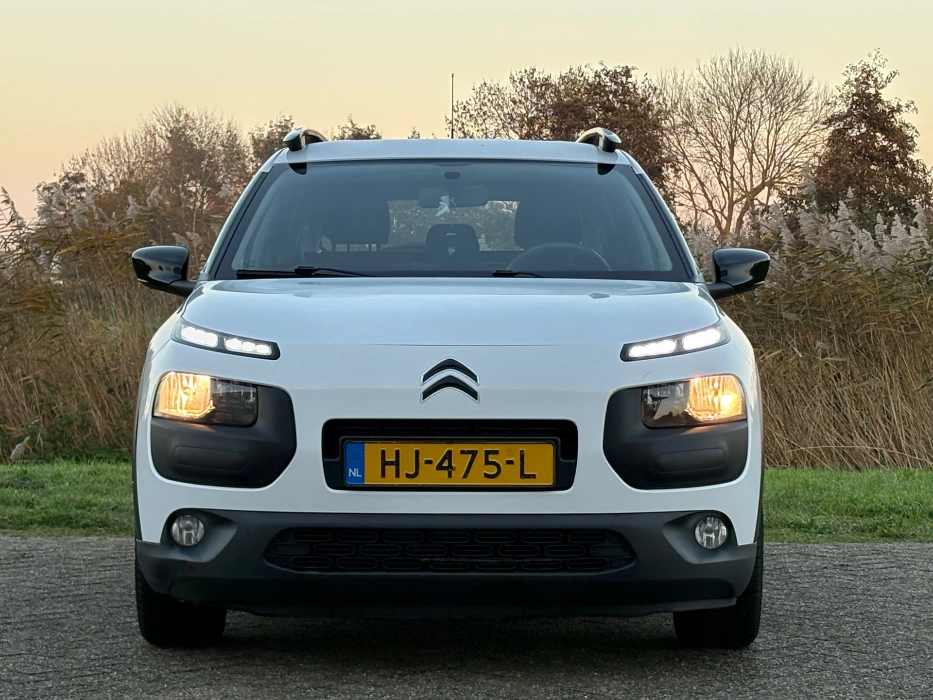 Hoofdafbeelding Citroën C4 Cactus