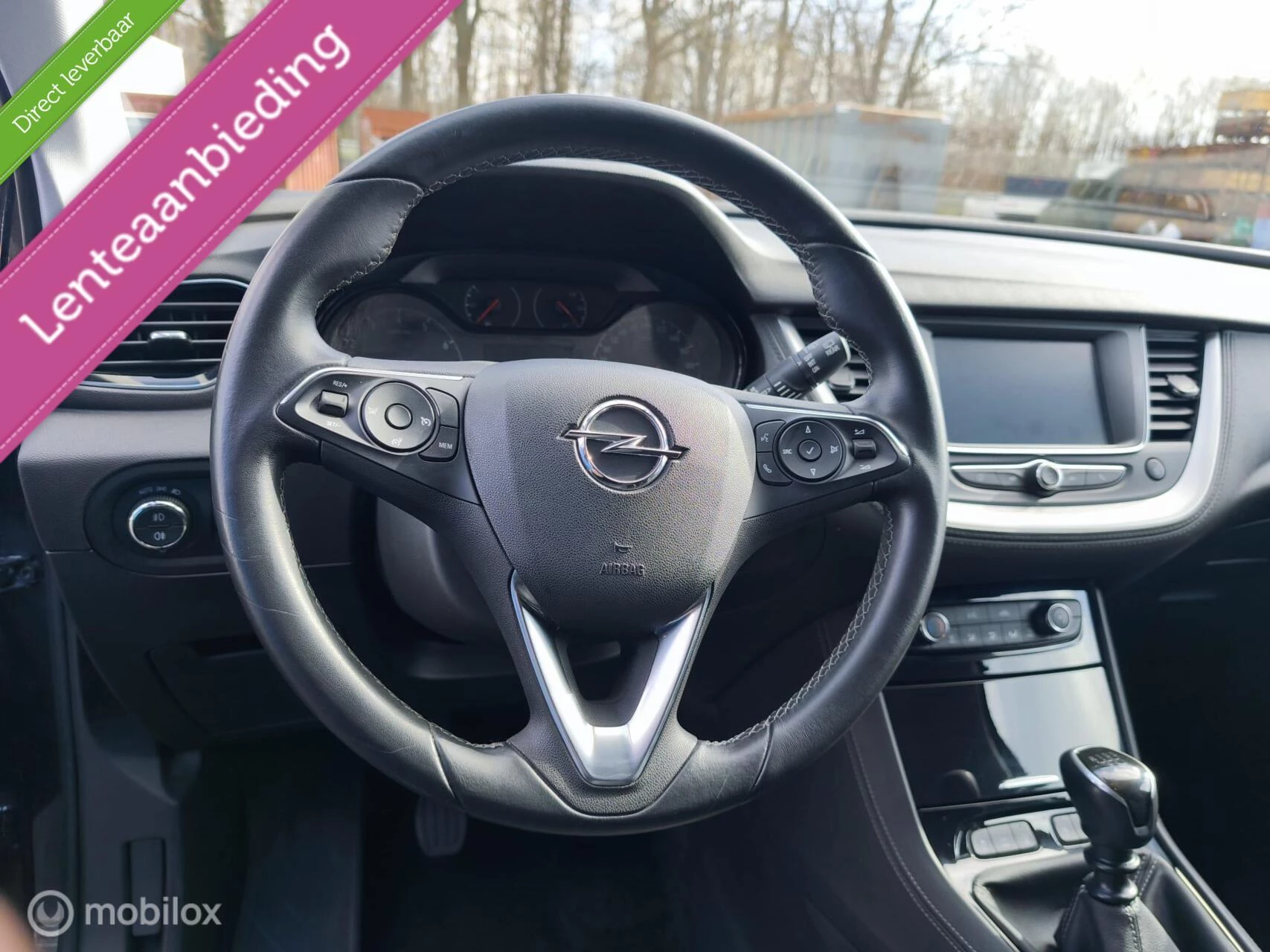 Hoofdafbeelding Opel Grandland X