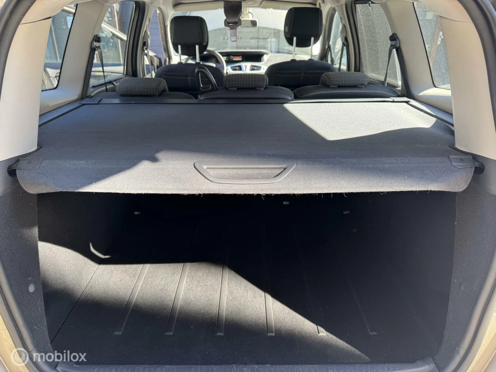 Hoofdafbeelding Renault Scénic