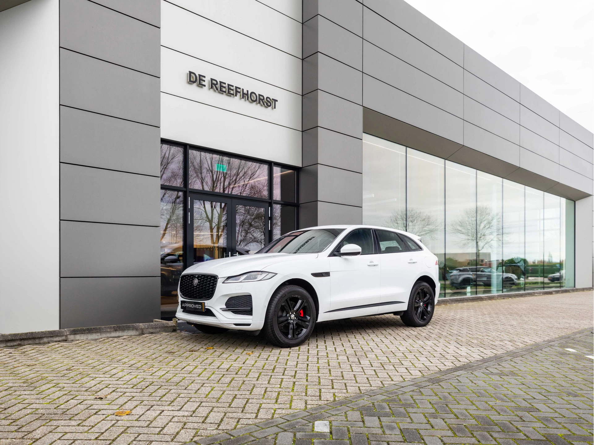 Hoofdafbeelding Jaguar F-PACE