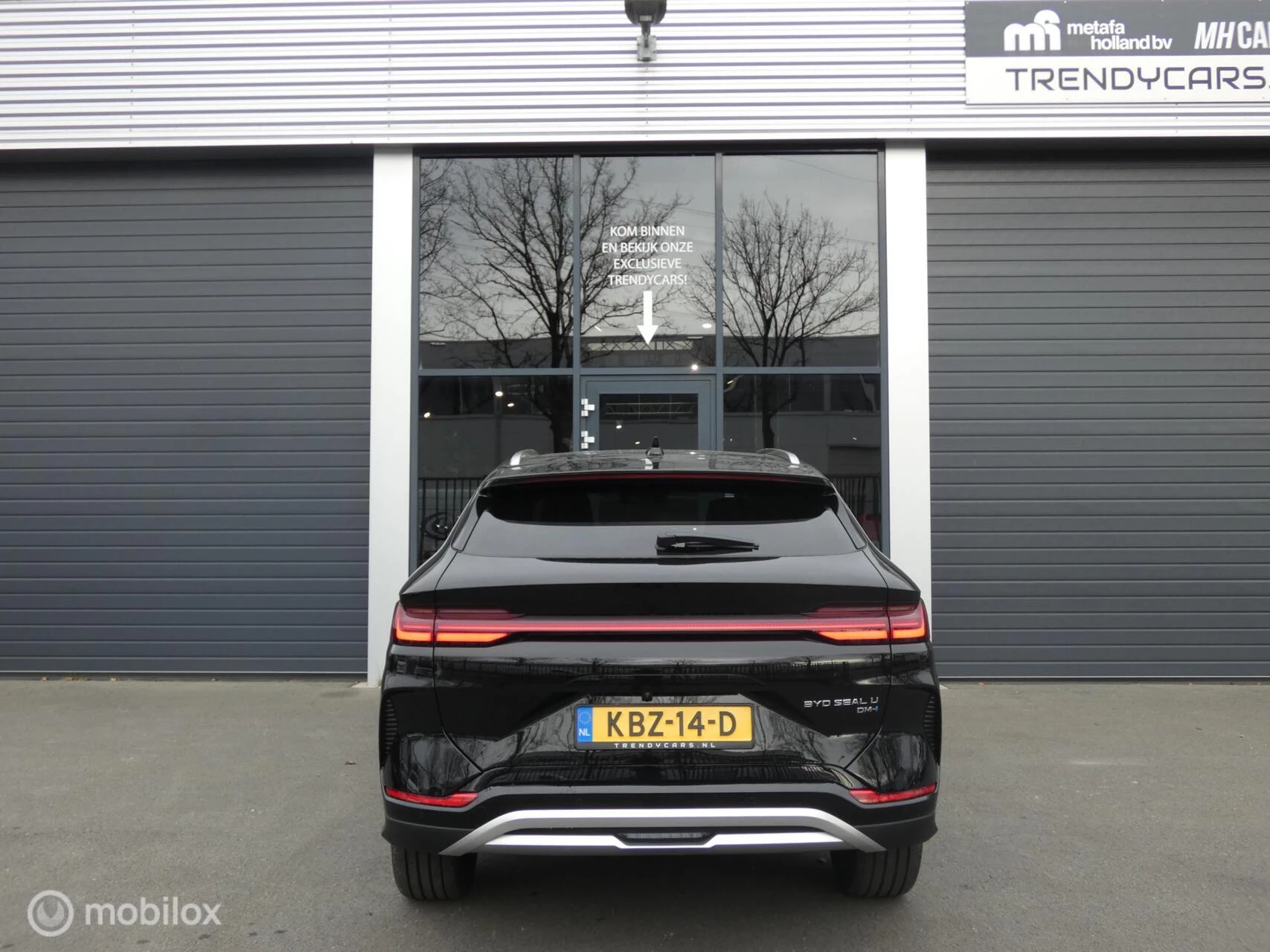 Hoofdafbeelding BYD SEAL U