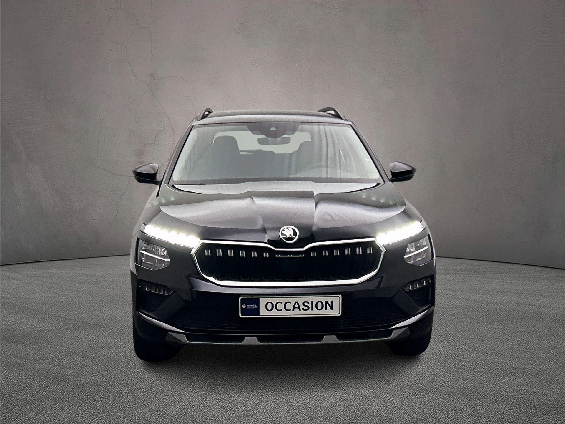 Hoofdafbeelding Škoda Kamiq