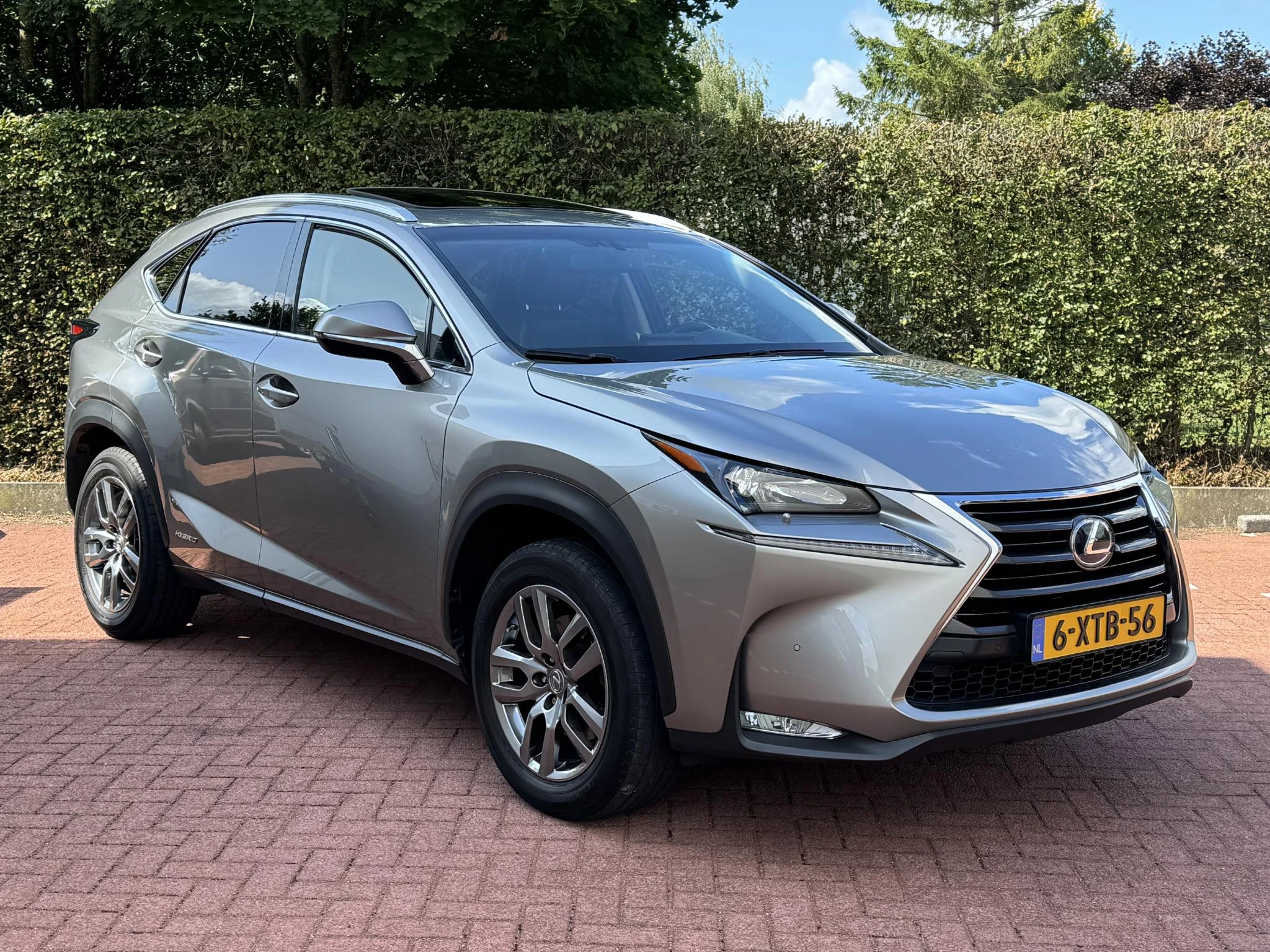 Hoofdafbeelding Lexus NX