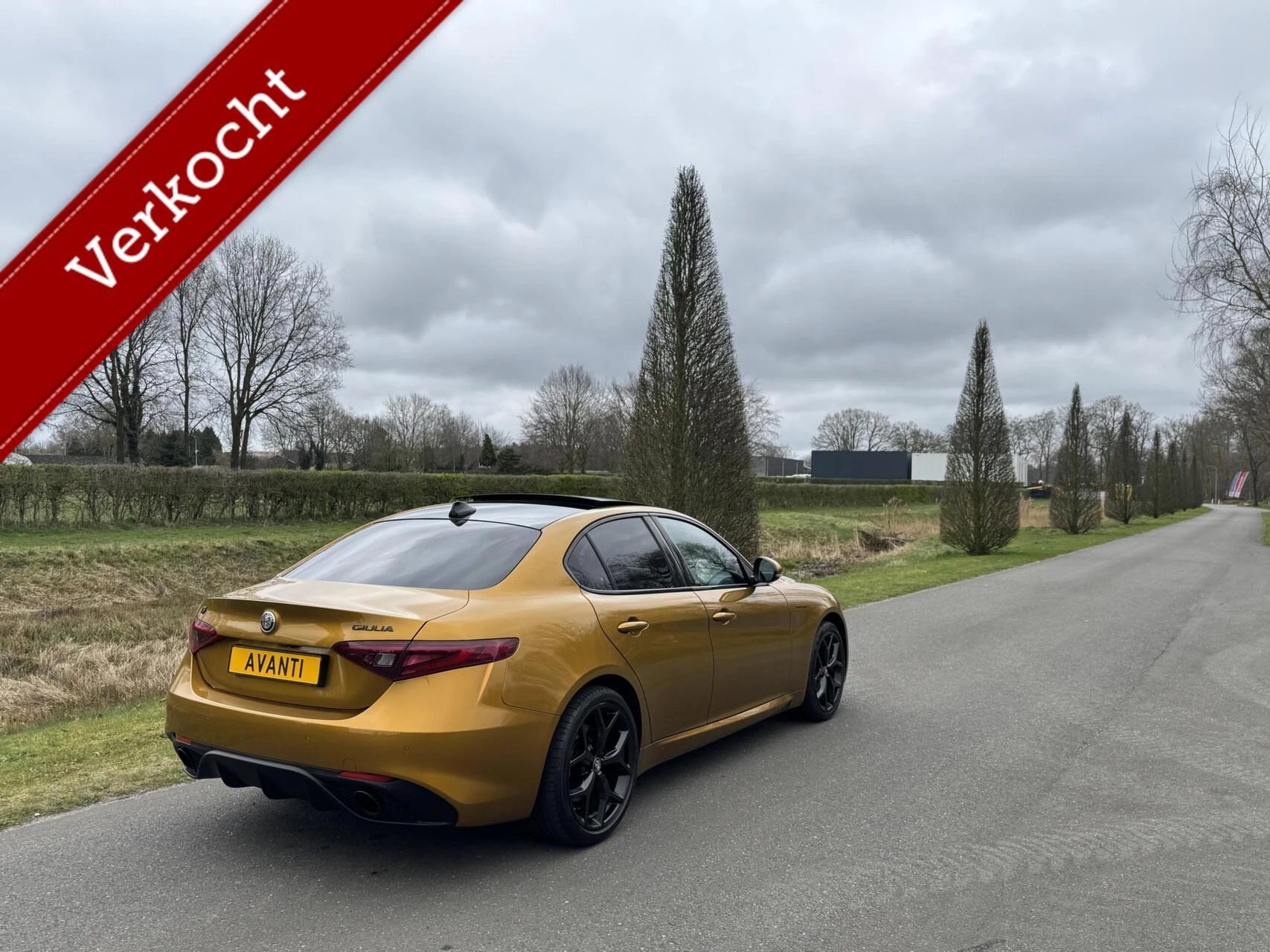 Hoofdafbeelding Alfa Romeo Giulia