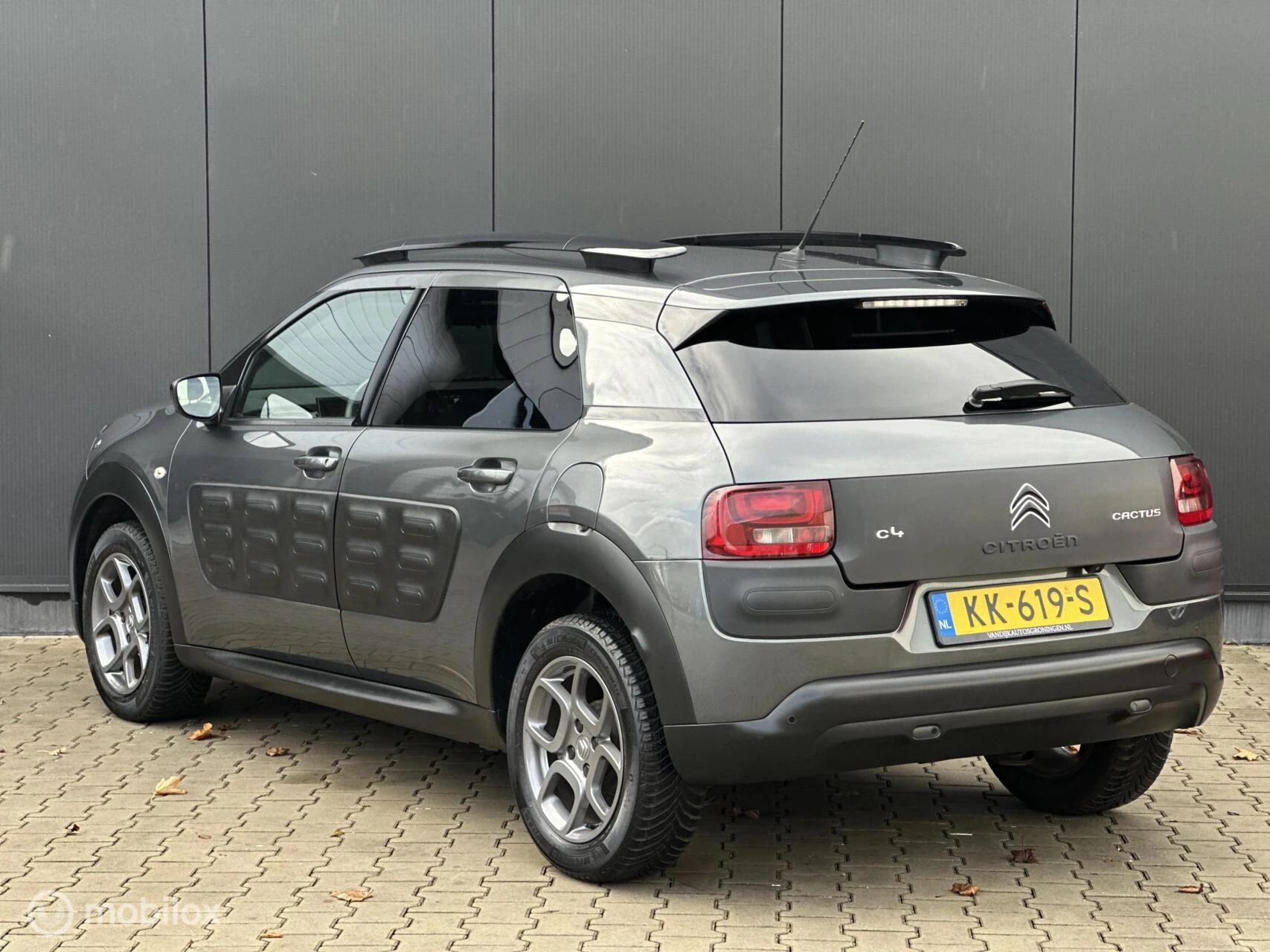 Hoofdafbeelding Citroën C4 Cactus