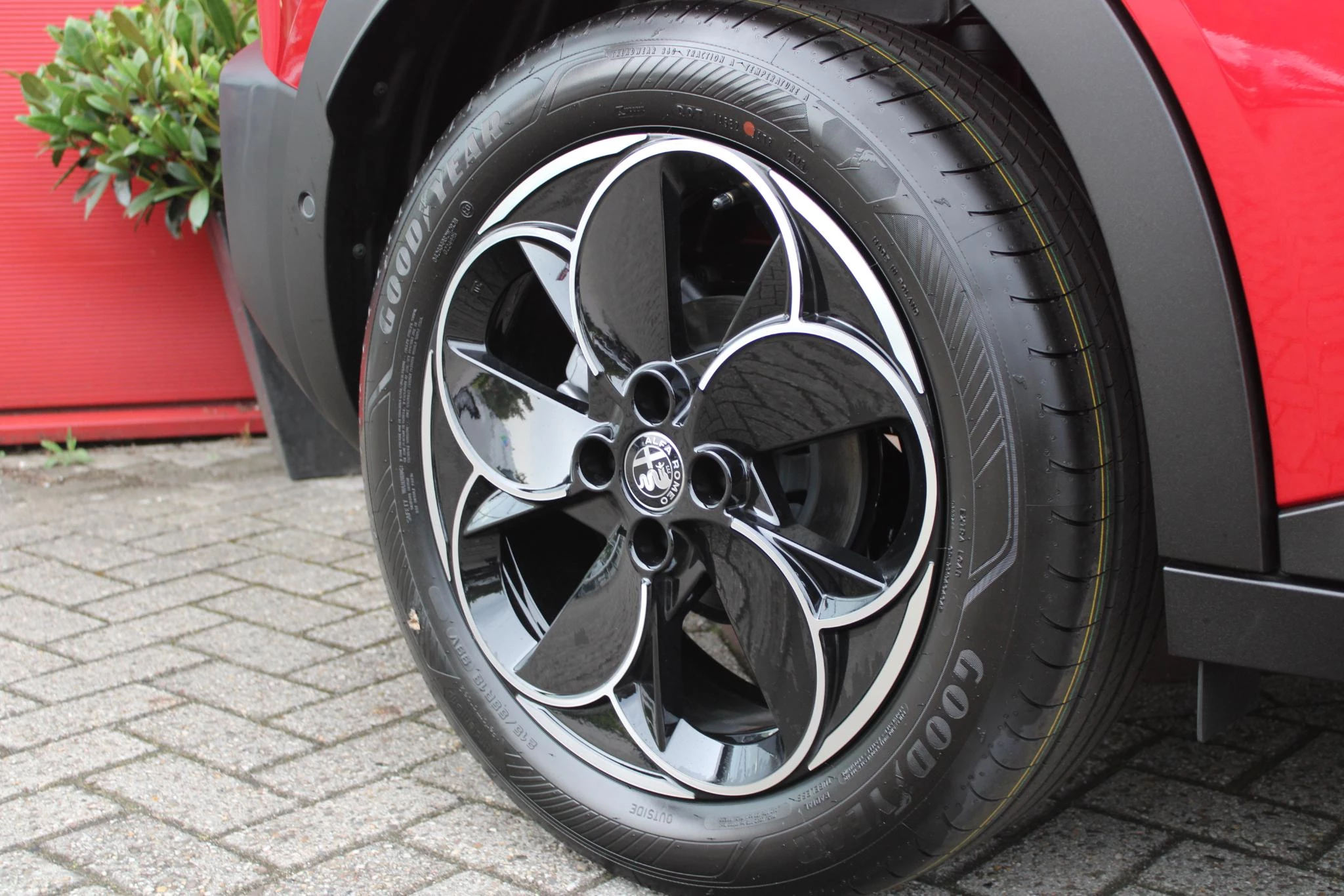 Hoofdafbeelding Alfa Romeo Junior
