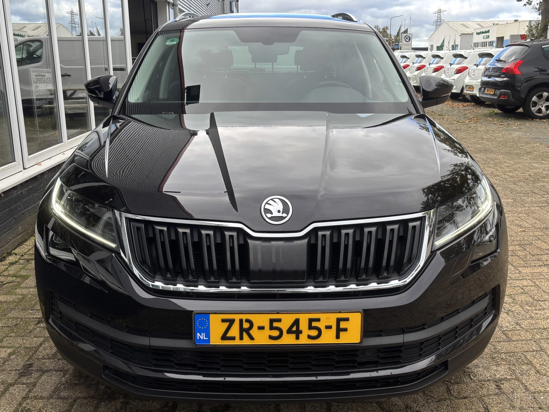 Hoofdafbeelding Škoda Kodiaq