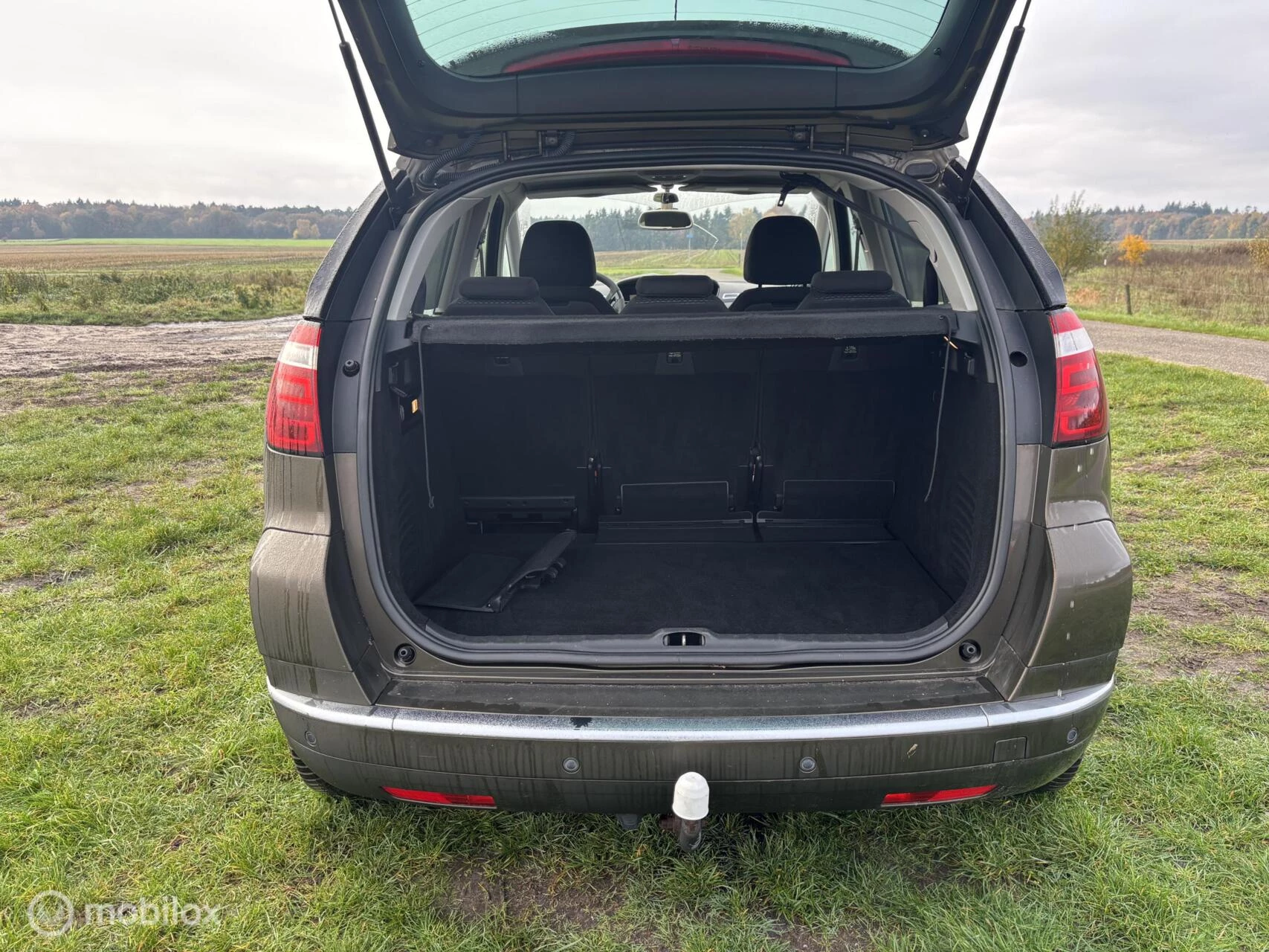 Hoofdafbeelding Citroën C4 Picasso