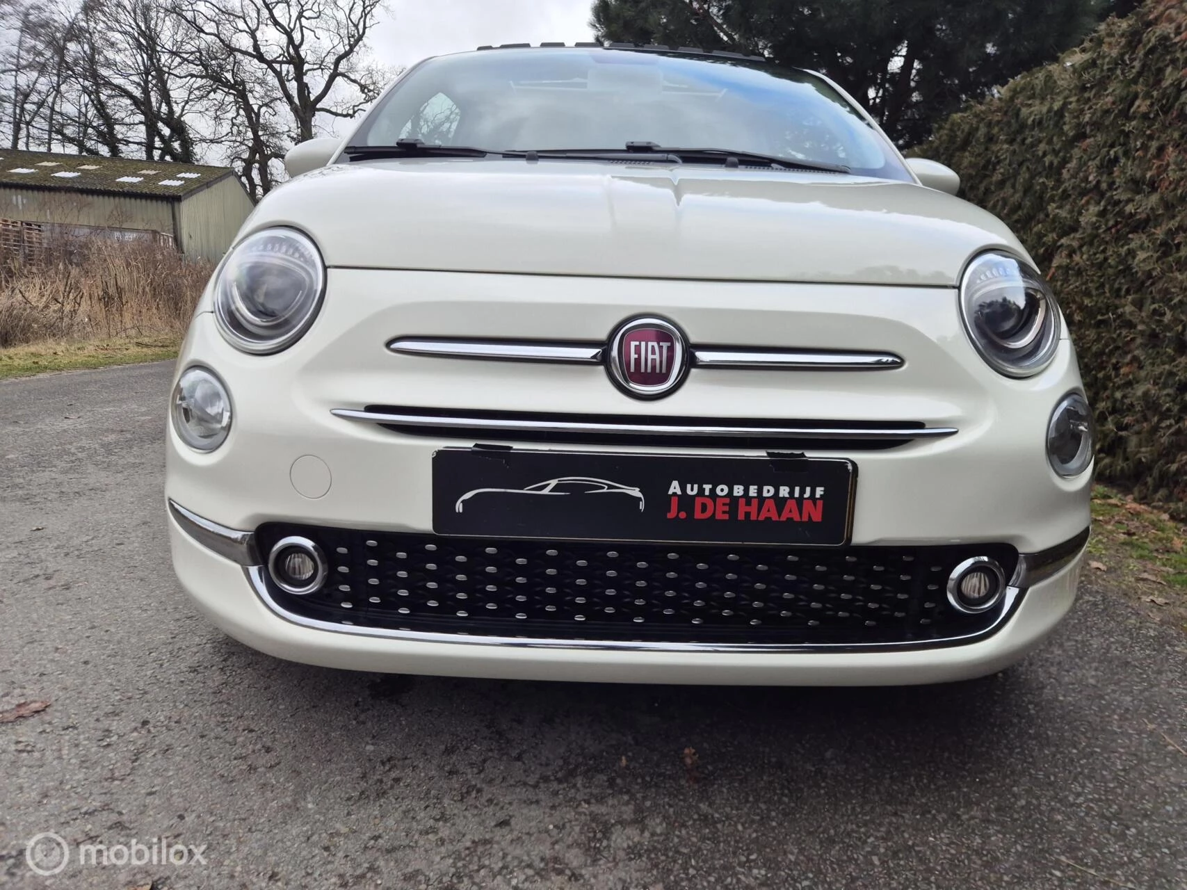 Hoofdafbeelding Fiat 500