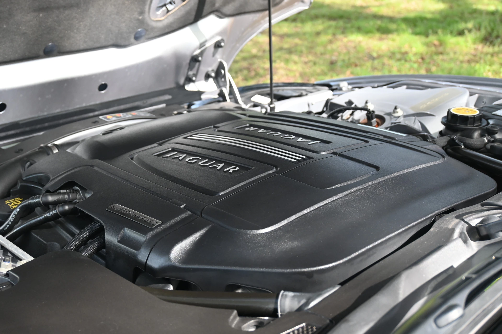 Hoofdafbeelding Jaguar XK