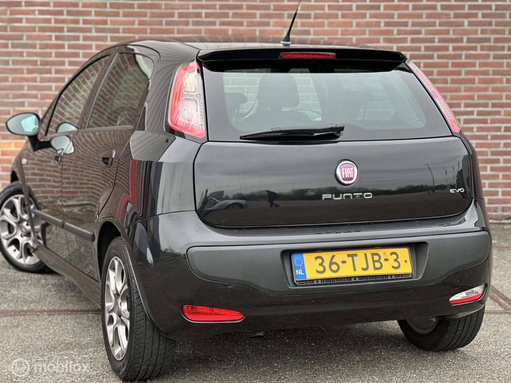Hoofdafbeelding Fiat Punto