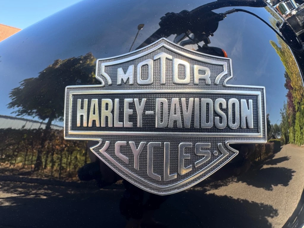 Hoofdafbeelding Harley-Davidson Softail