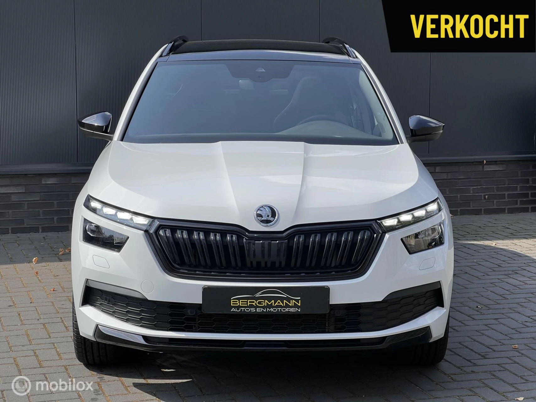 Hoofdafbeelding Škoda Kamiq