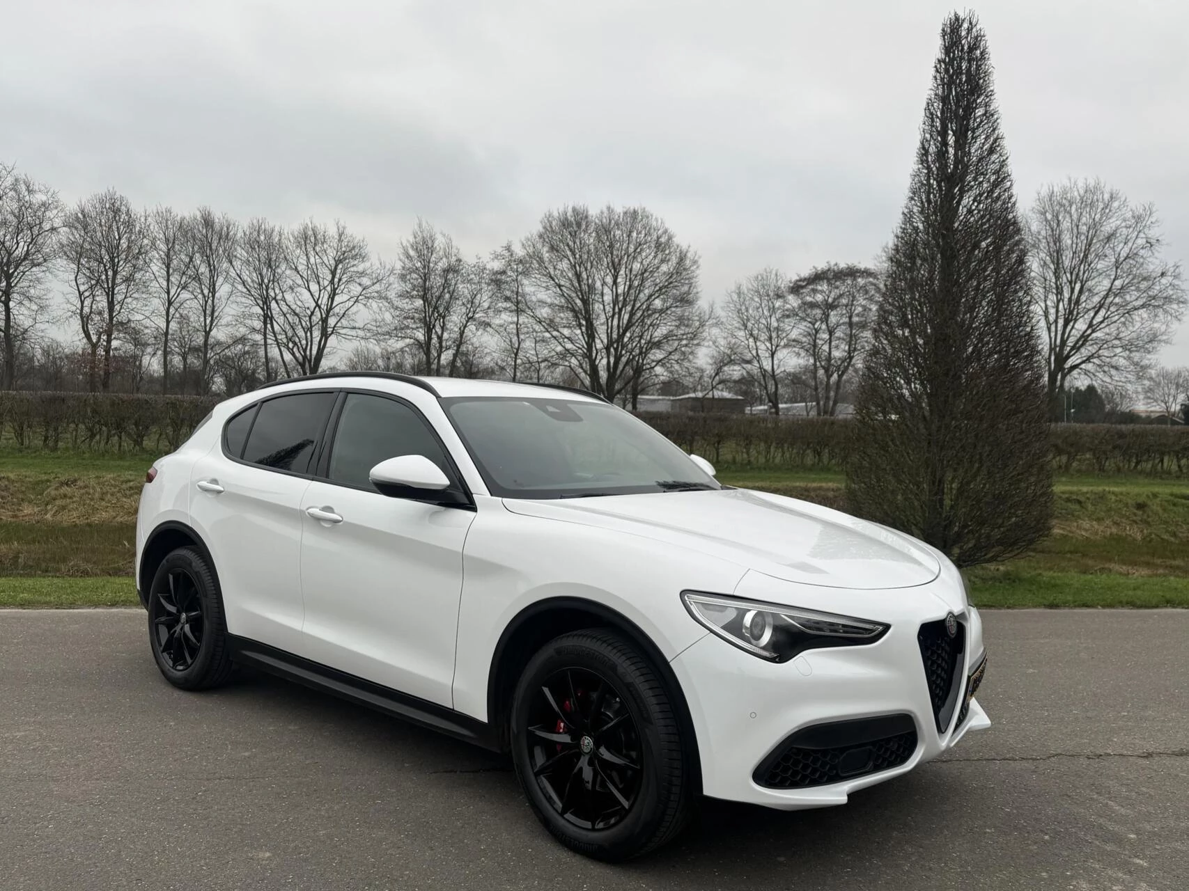 Hoofdafbeelding Alfa Romeo Stelvio