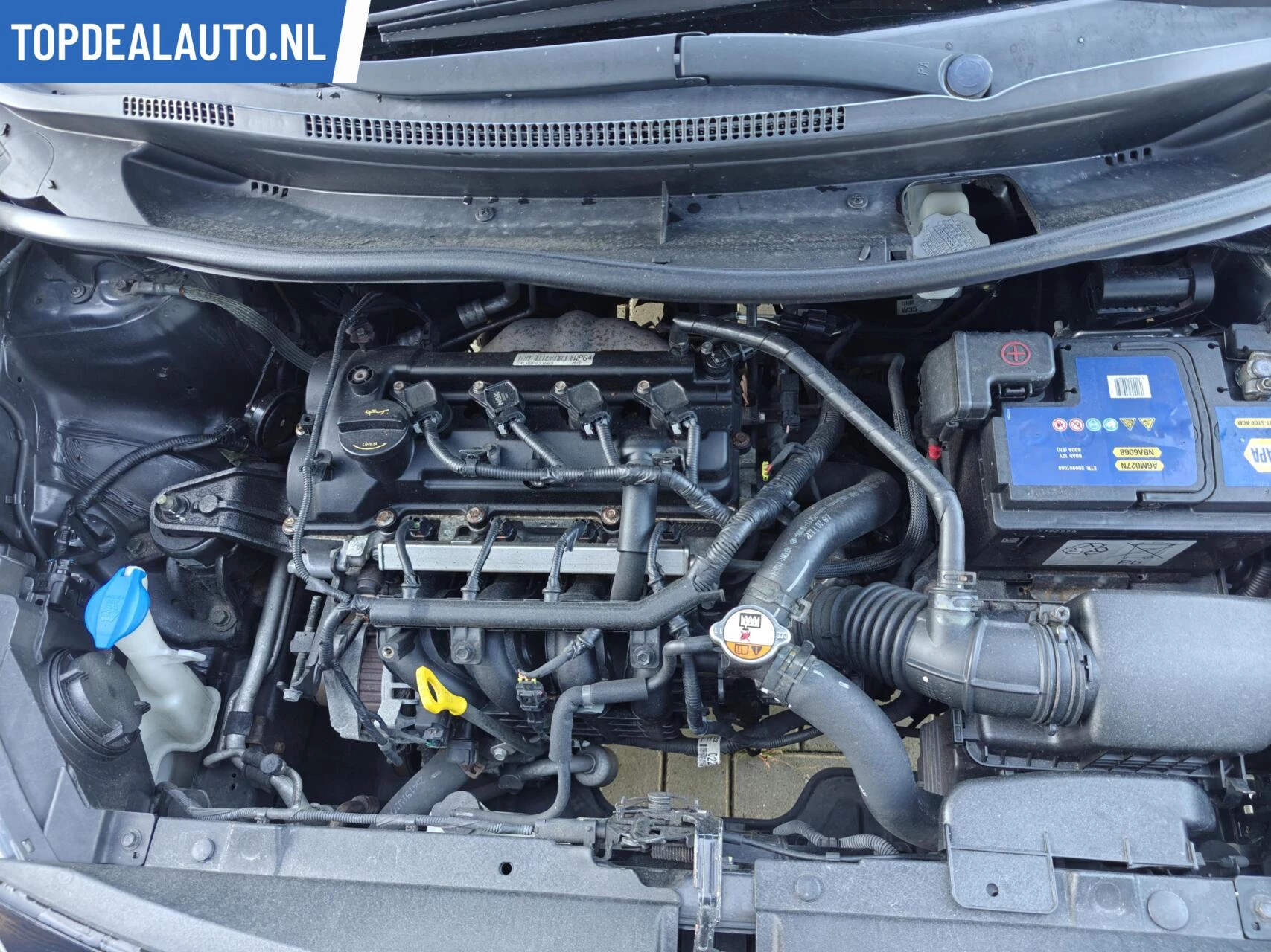 Hoofdafbeelding Kia Rio