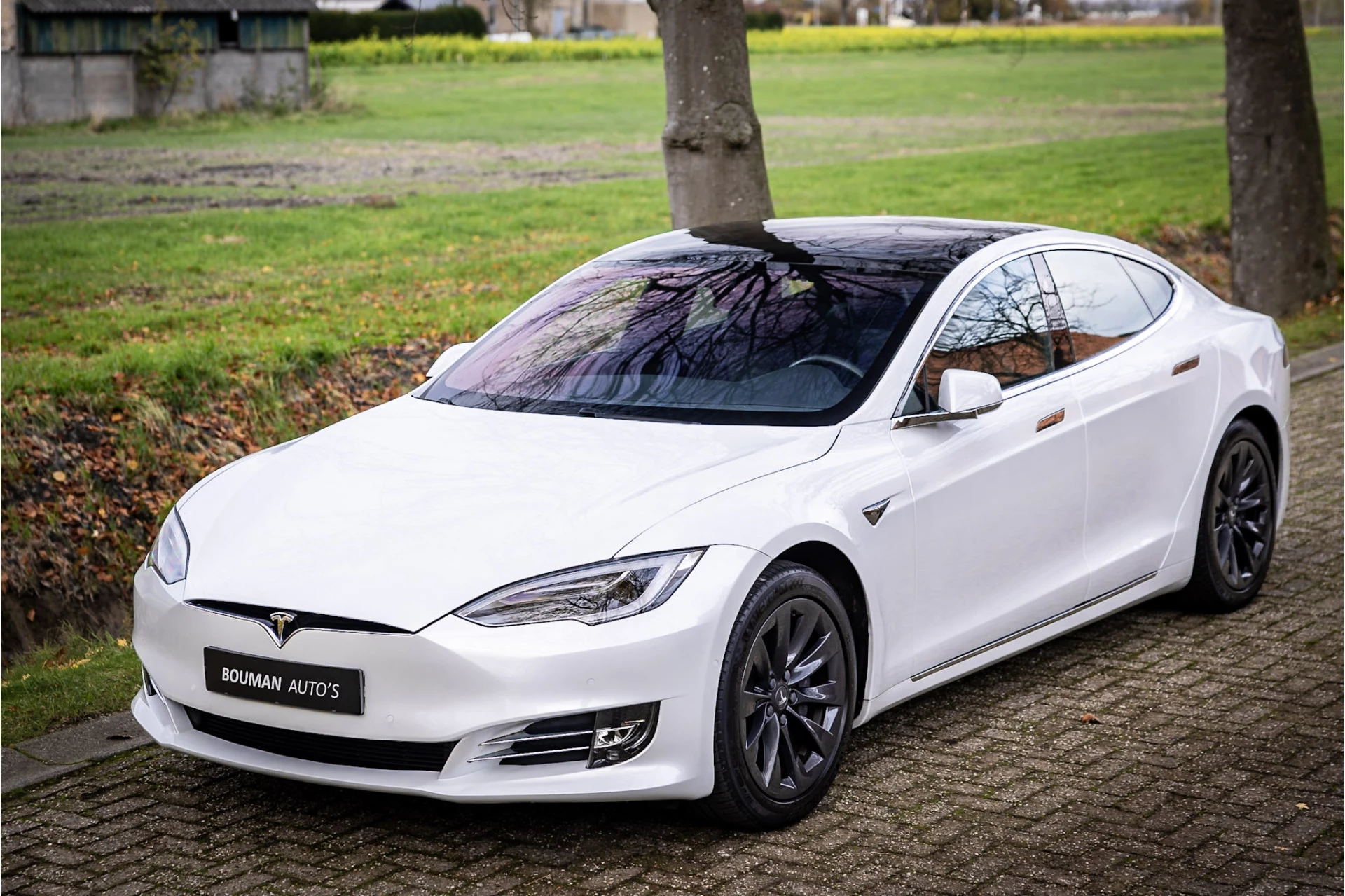 Hoofdafbeelding Tesla Model S