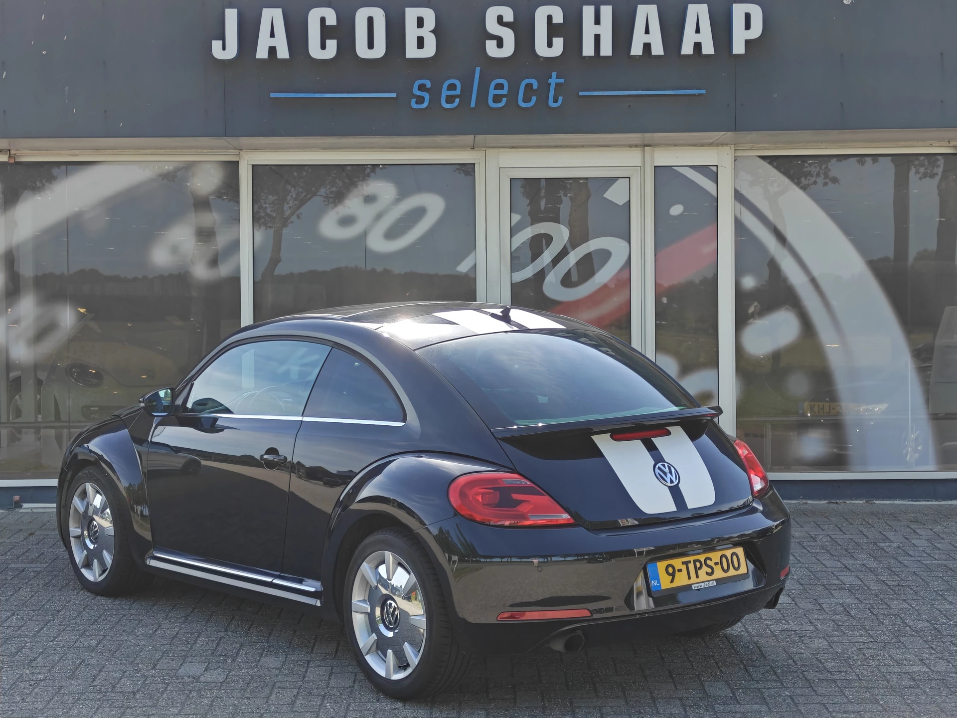 Hoofdafbeelding Volkswagen Beetle