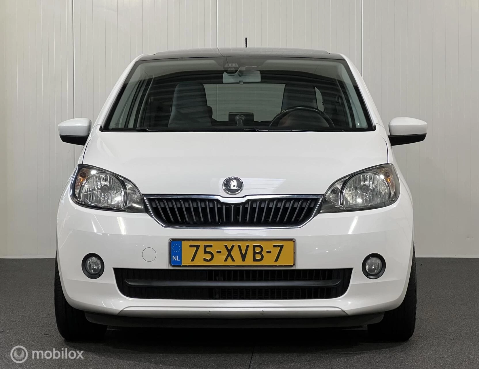Hoofdafbeelding Škoda Citigo