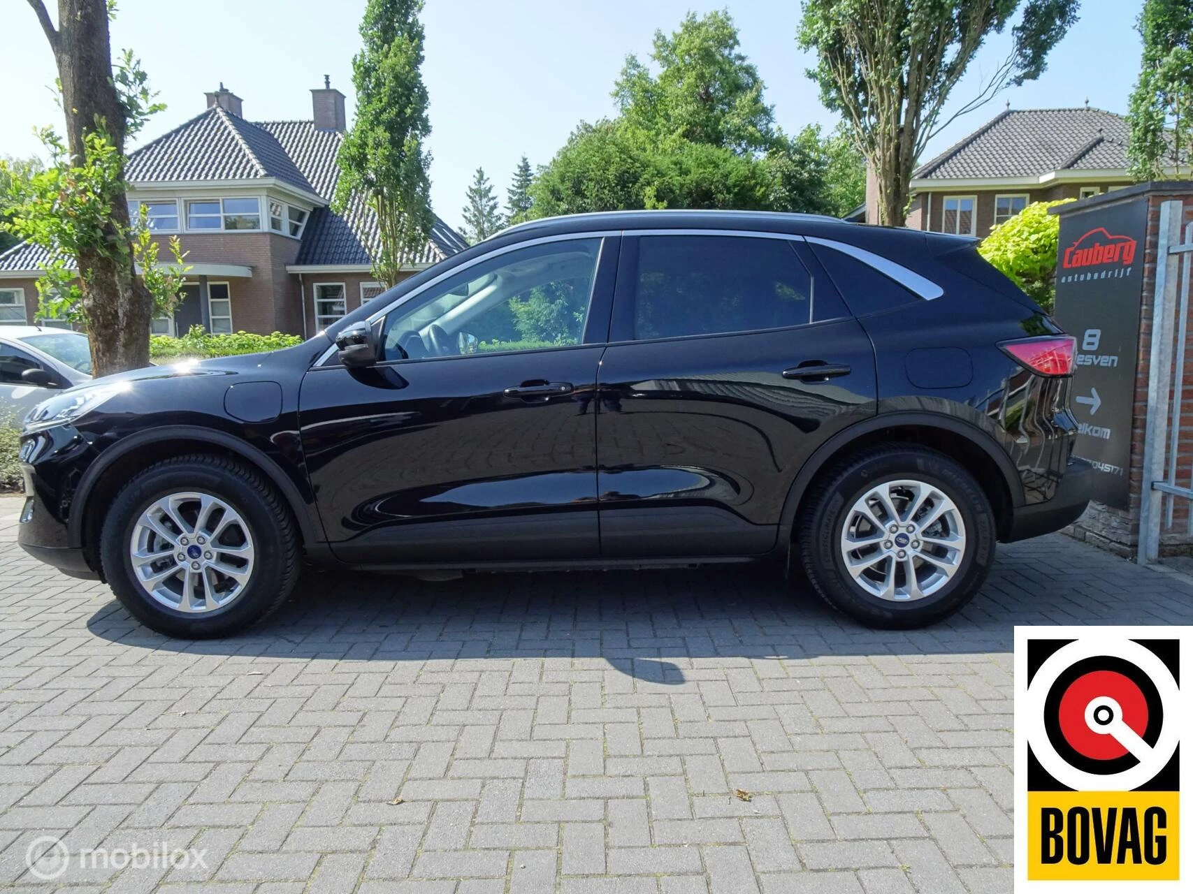 Hoofdafbeelding Ford Kuga