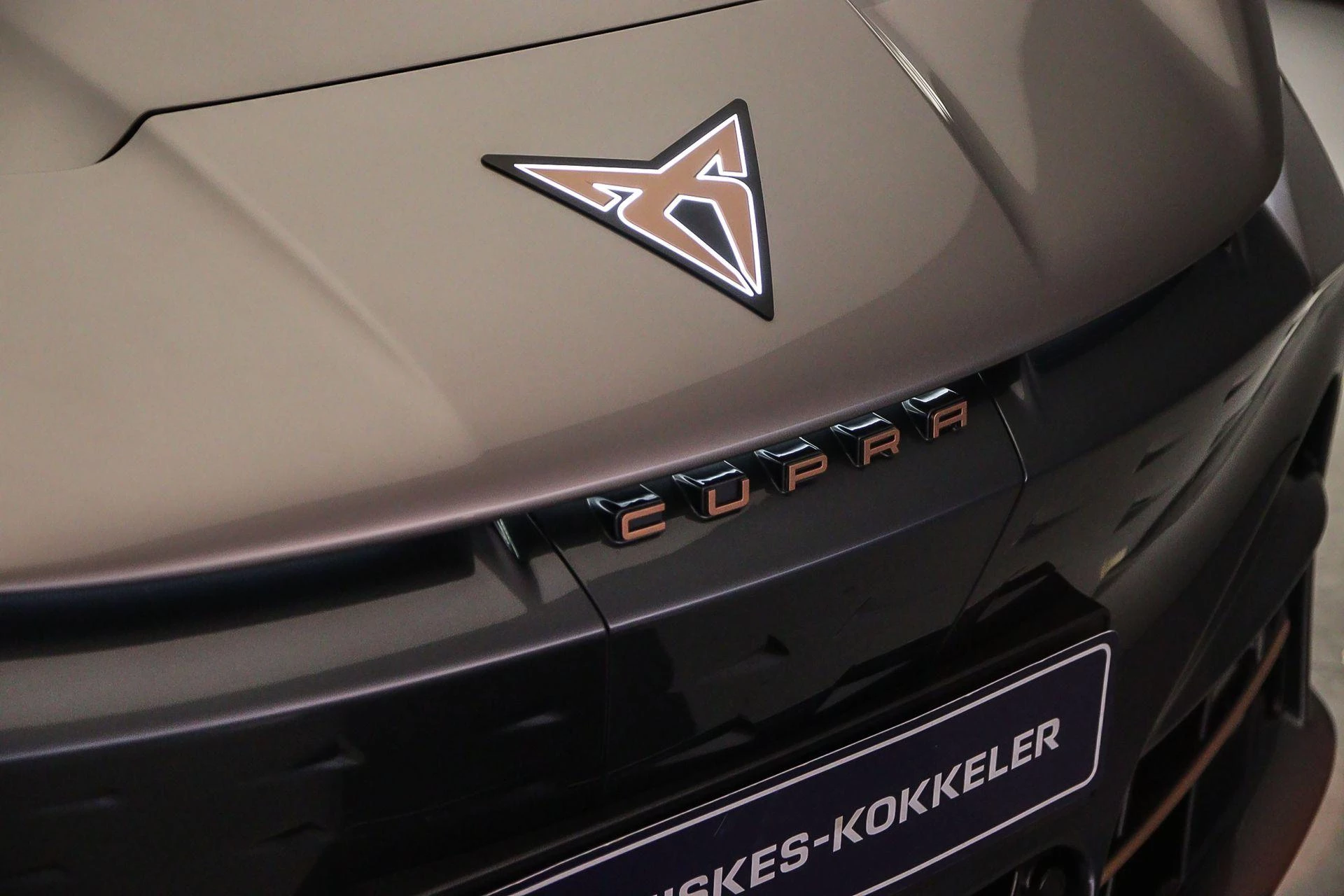 Hoofdafbeelding CUPRA Tavascan