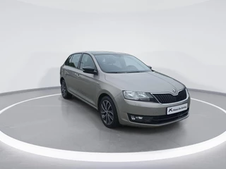 Hoofdafbeelding Škoda Rapid