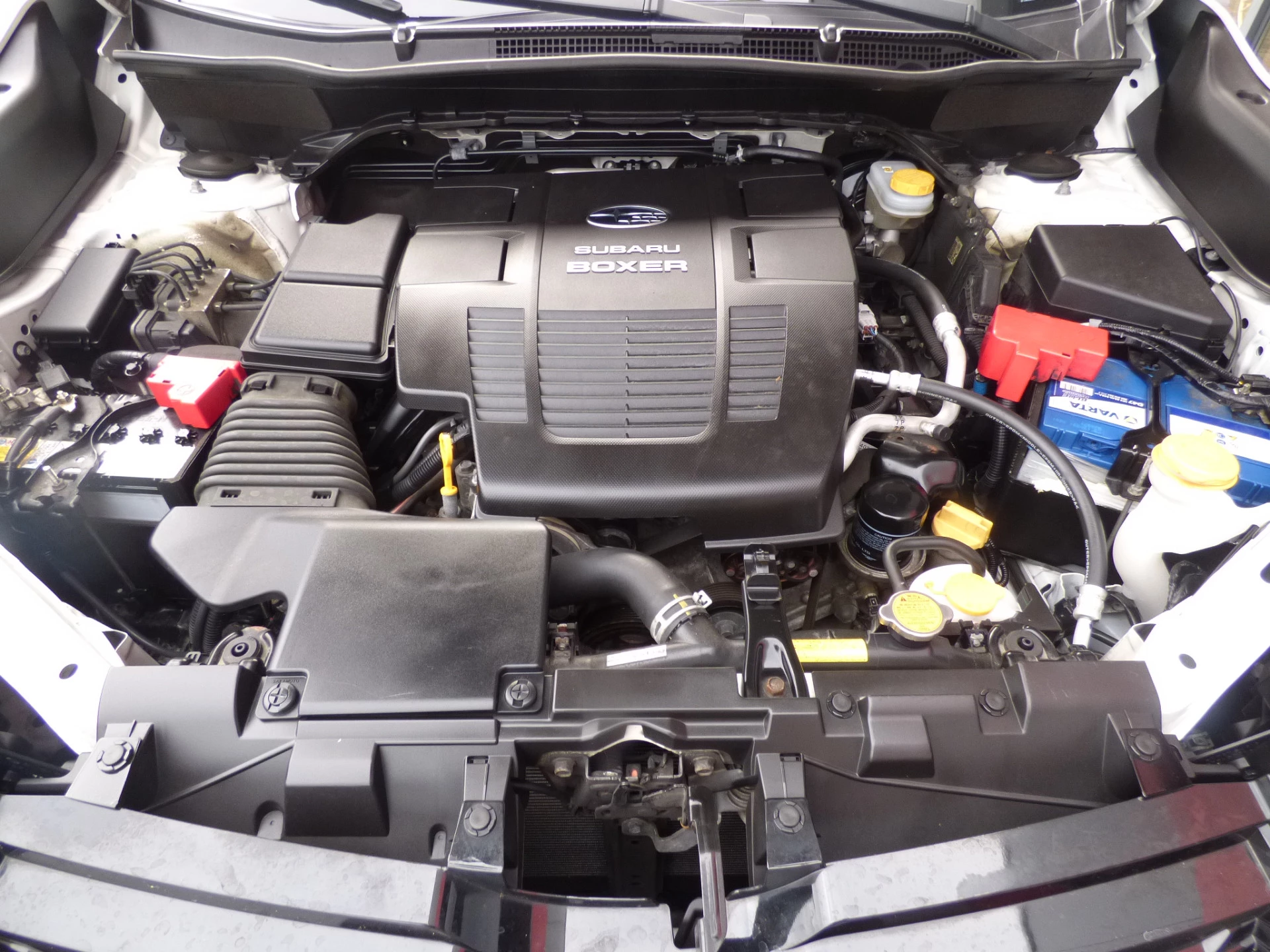Hoofdafbeelding Subaru Forester