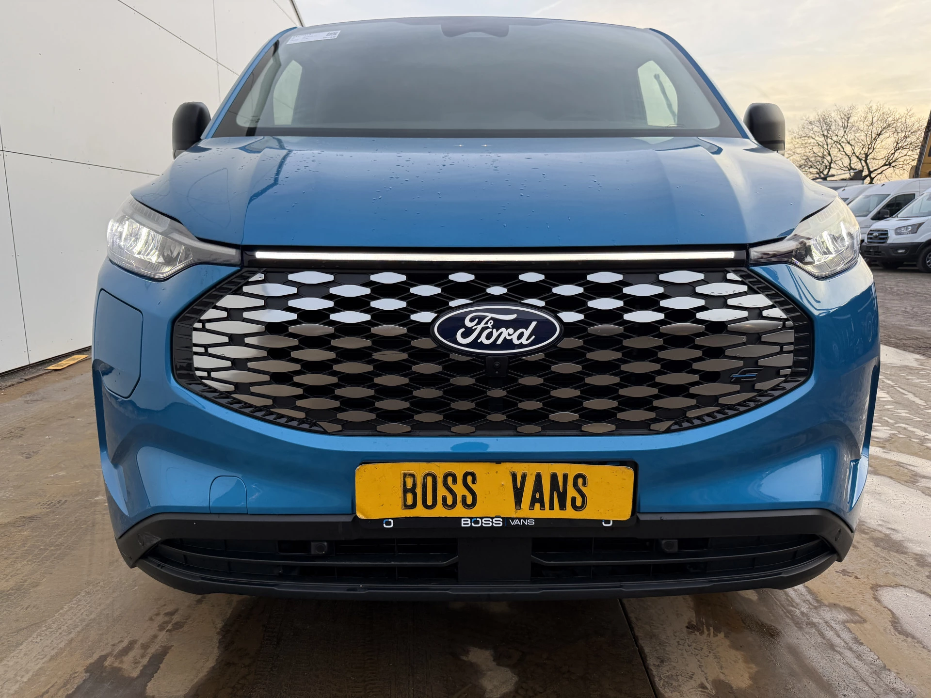 Hoofdafbeelding Ford E-Transit Custom