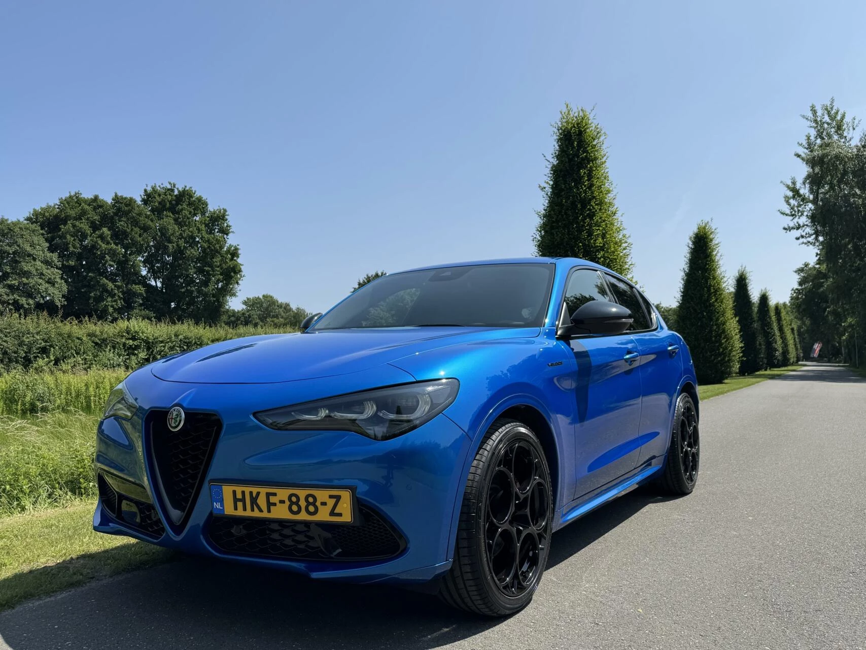 Hoofdafbeelding Alfa Romeo Stelvio