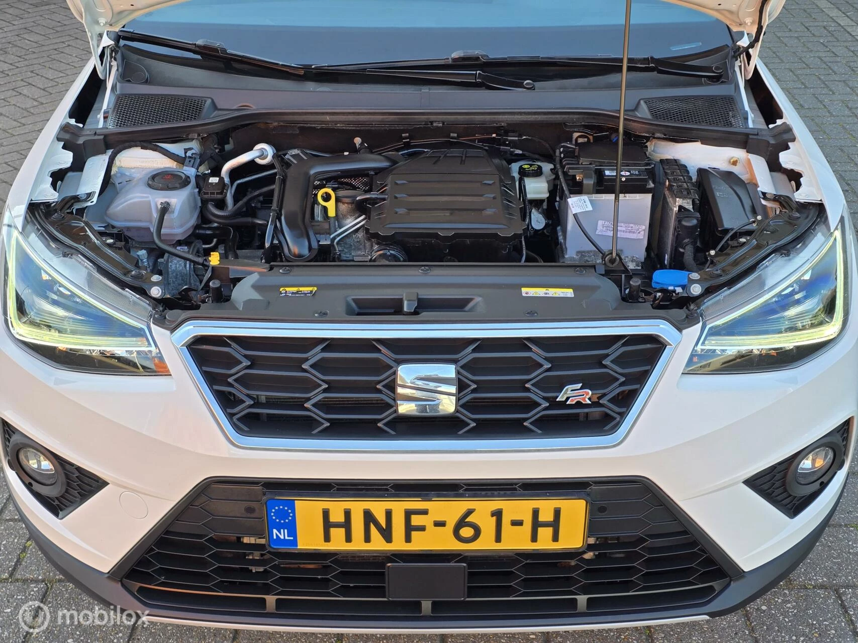 Hoofdafbeelding SEAT Arona