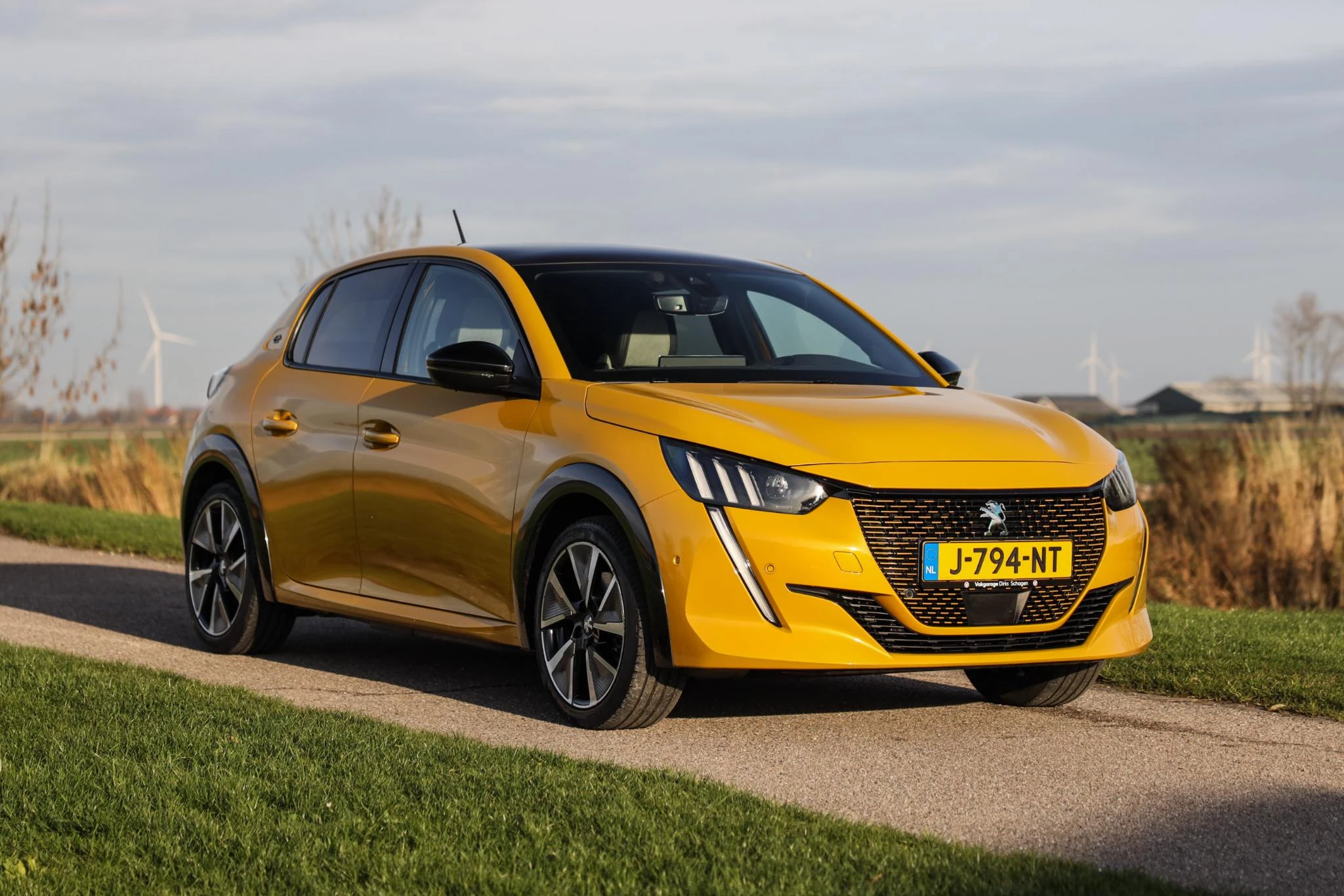 Hoofdafbeelding Peugeot e-208