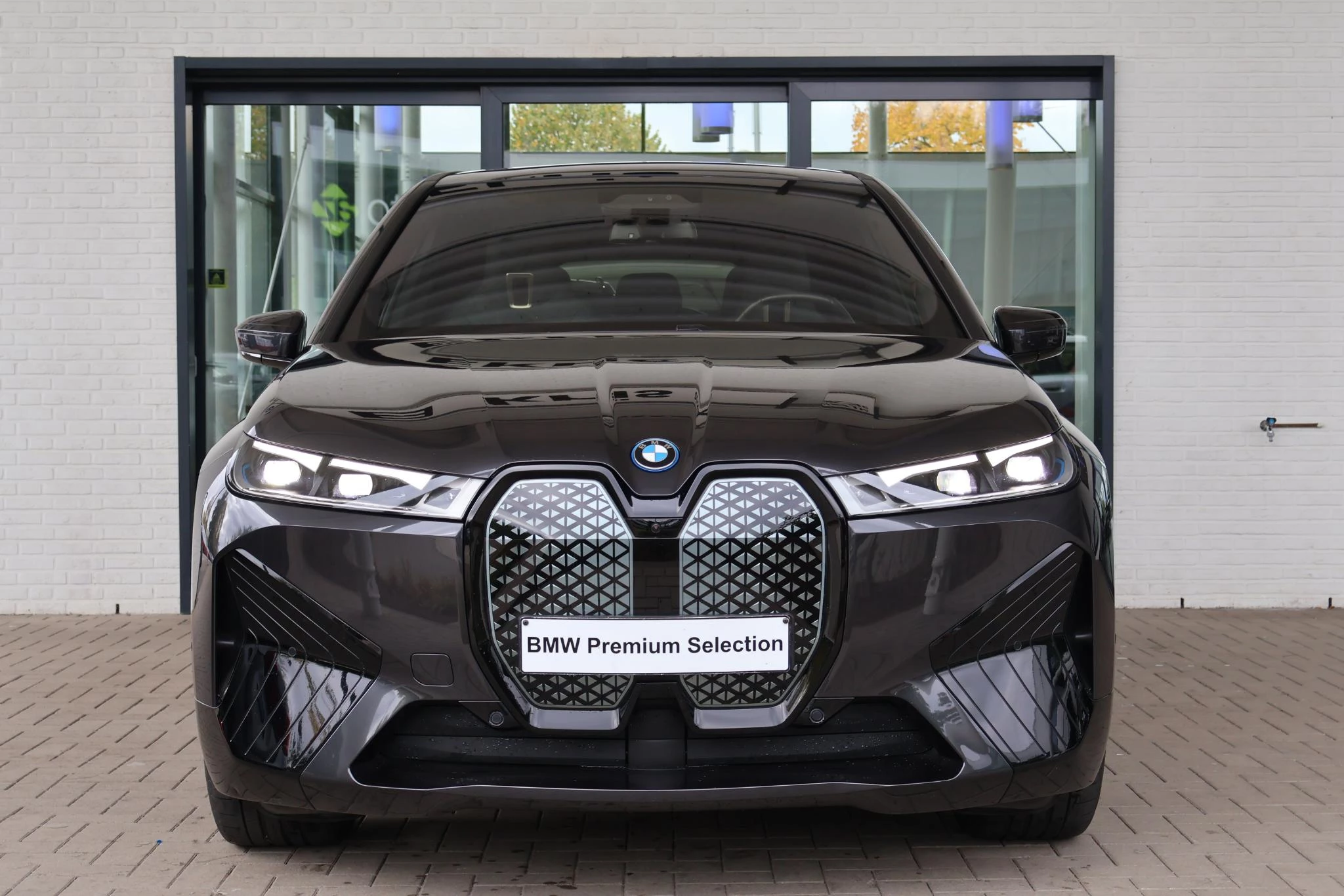 Hoofdafbeelding BMW iX