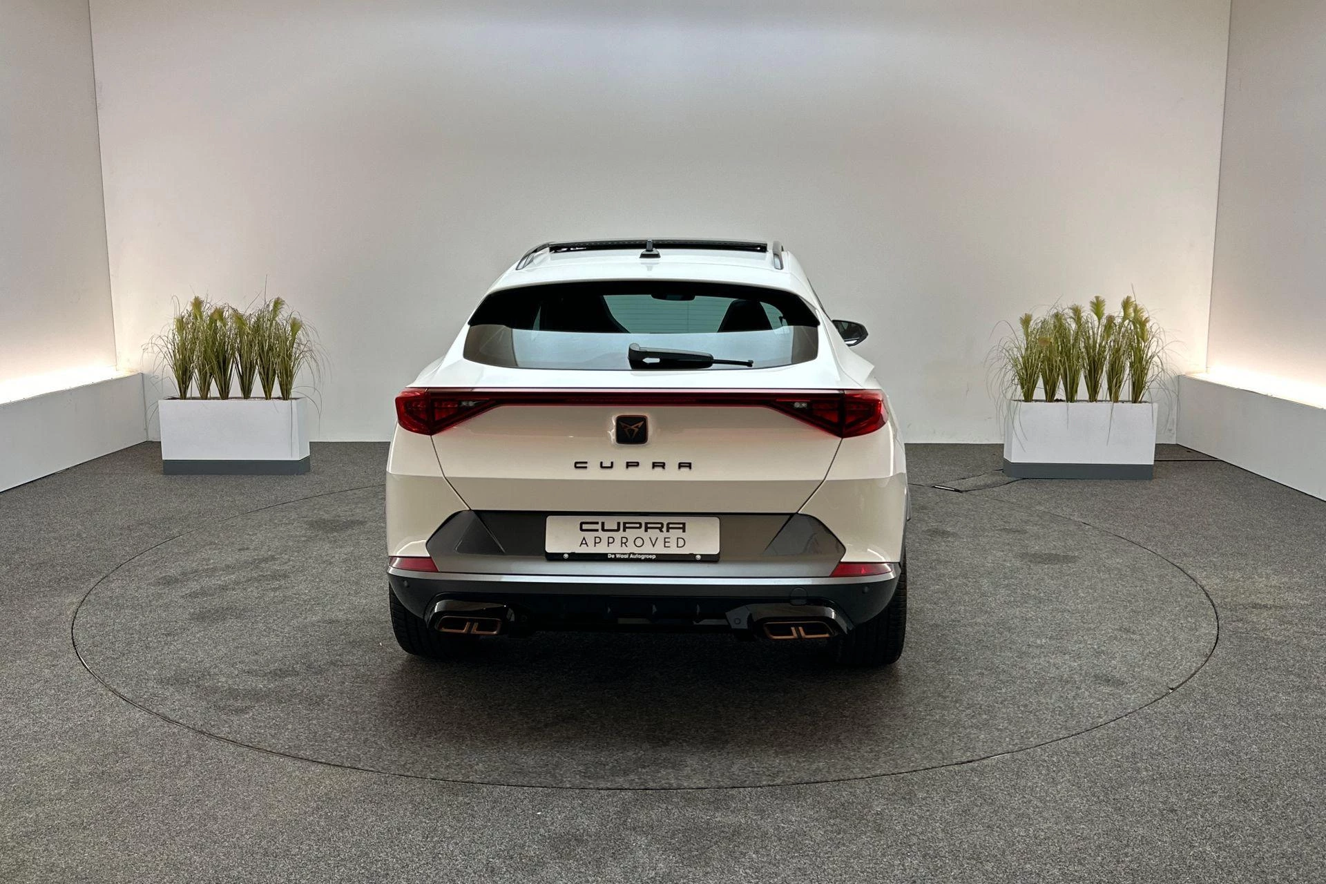 Hoofdafbeelding CUPRA Formentor