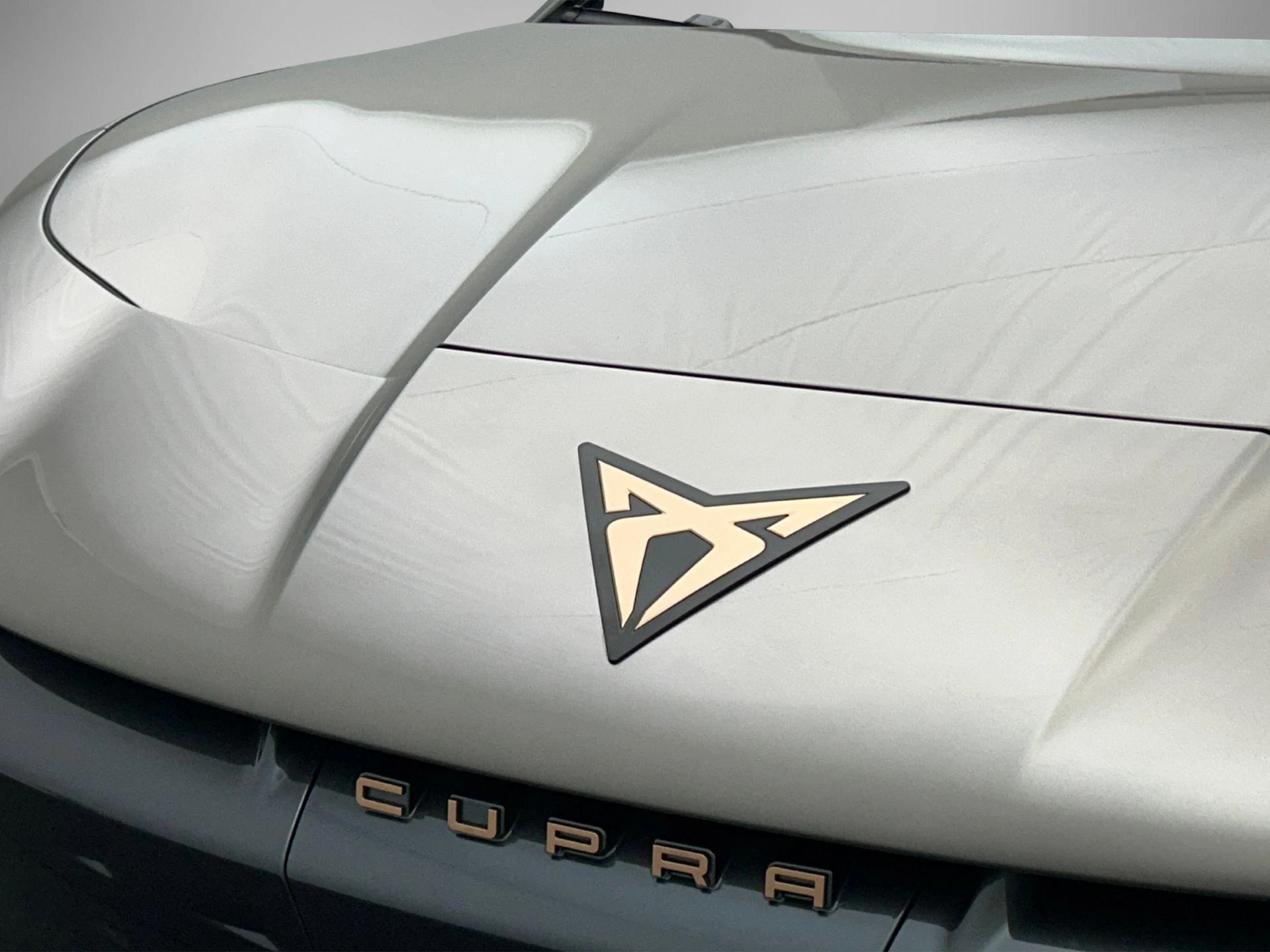 Hoofdafbeelding CUPRA Tavascan