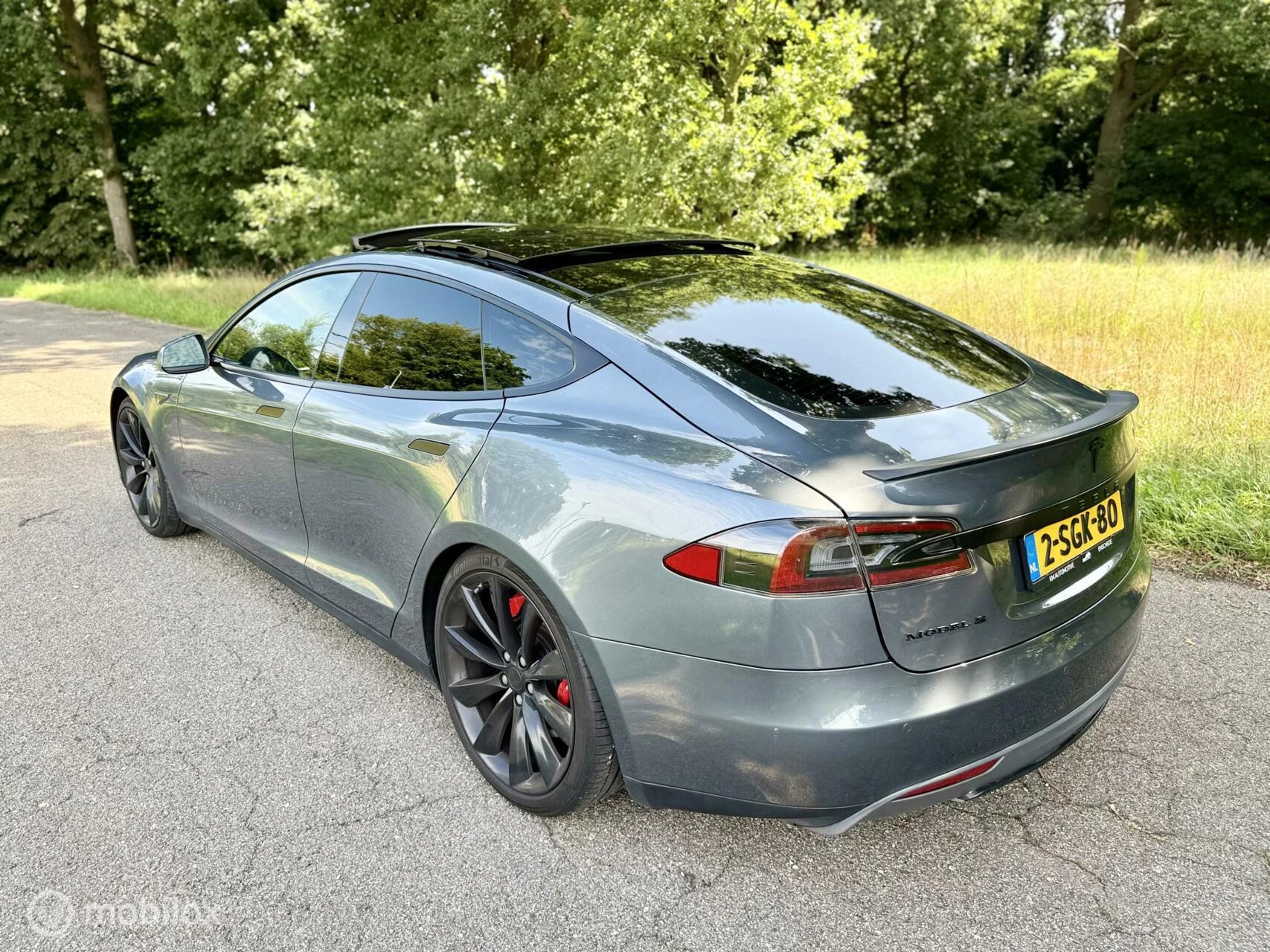 Hoofdafbeelding Tesla Model S