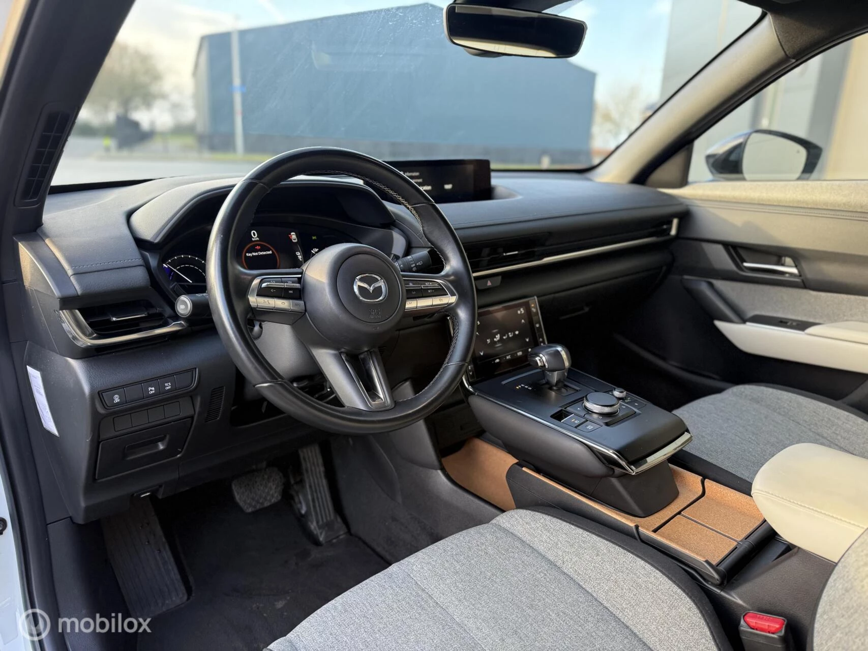 Hoofdafbeelding Mazda MX-30