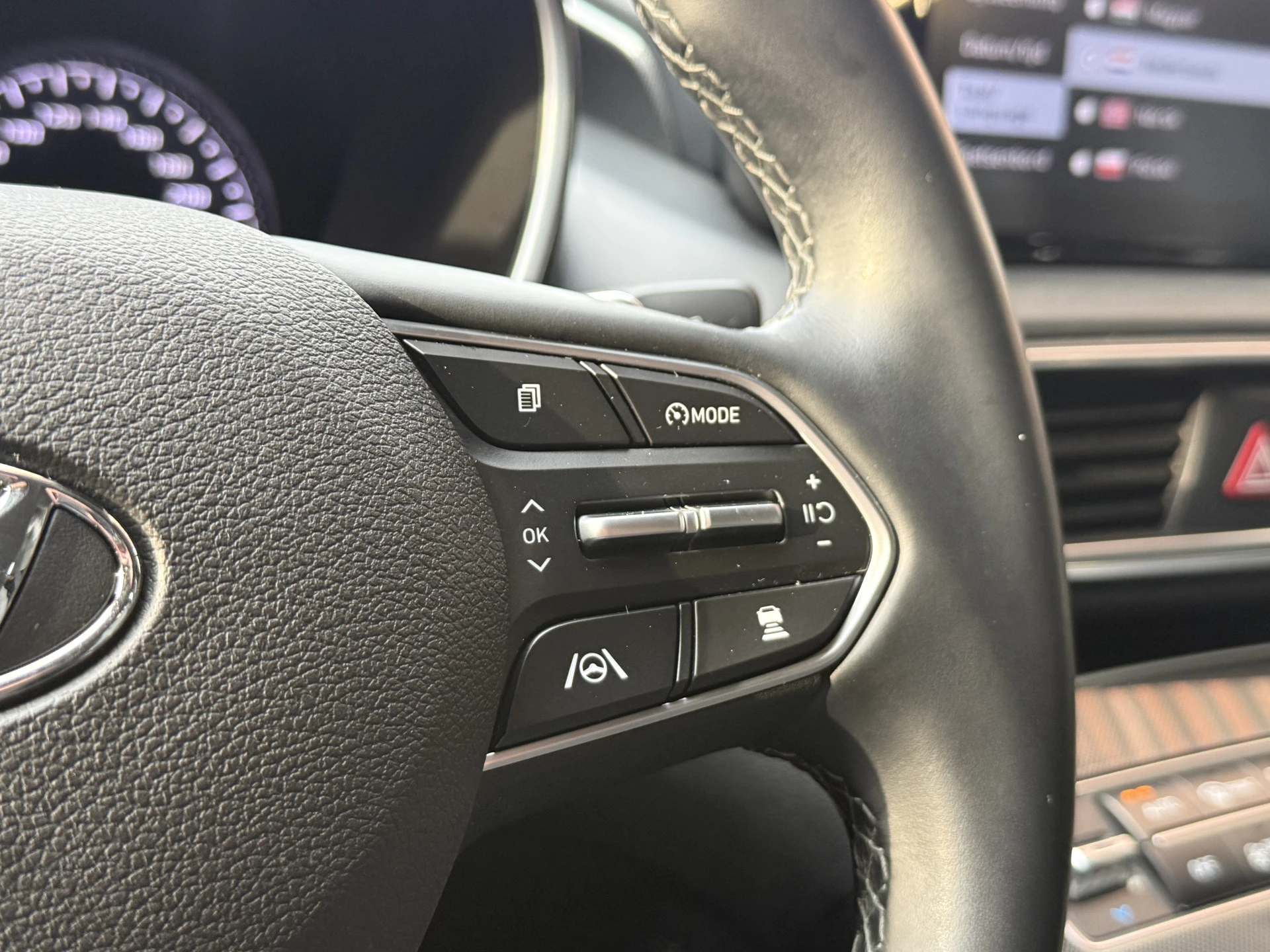 Hoofdafbeelding Hyundai Santa Fe