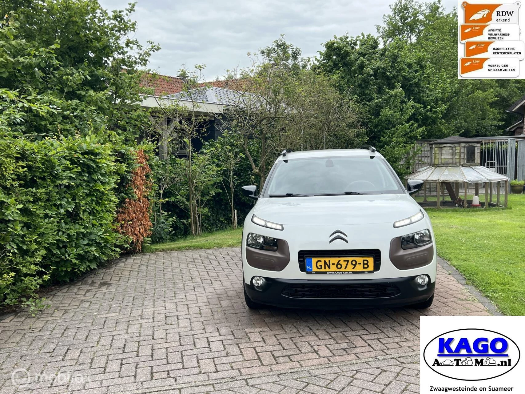 Hoofdafbeelding Citroën C4 Cactus